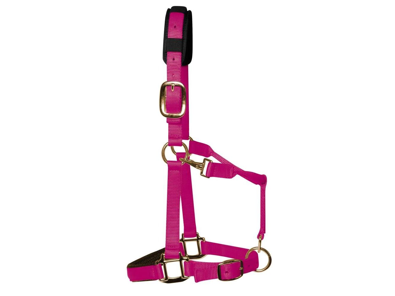 km elite padded headcollar raspberry - equestrian equipment