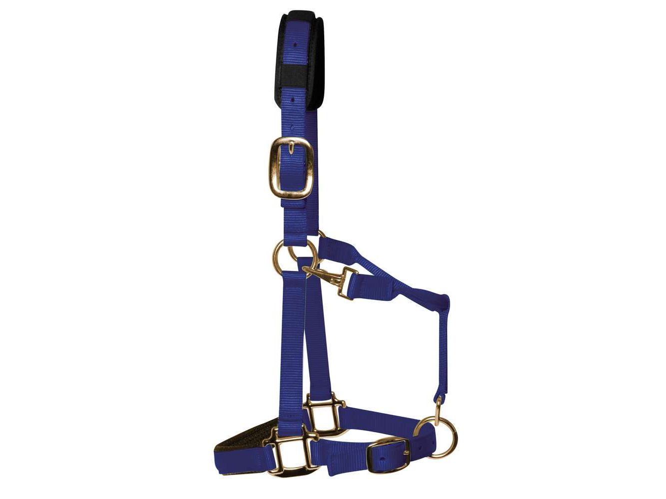 km elite padded headcollar royal blue - equestrian equipment