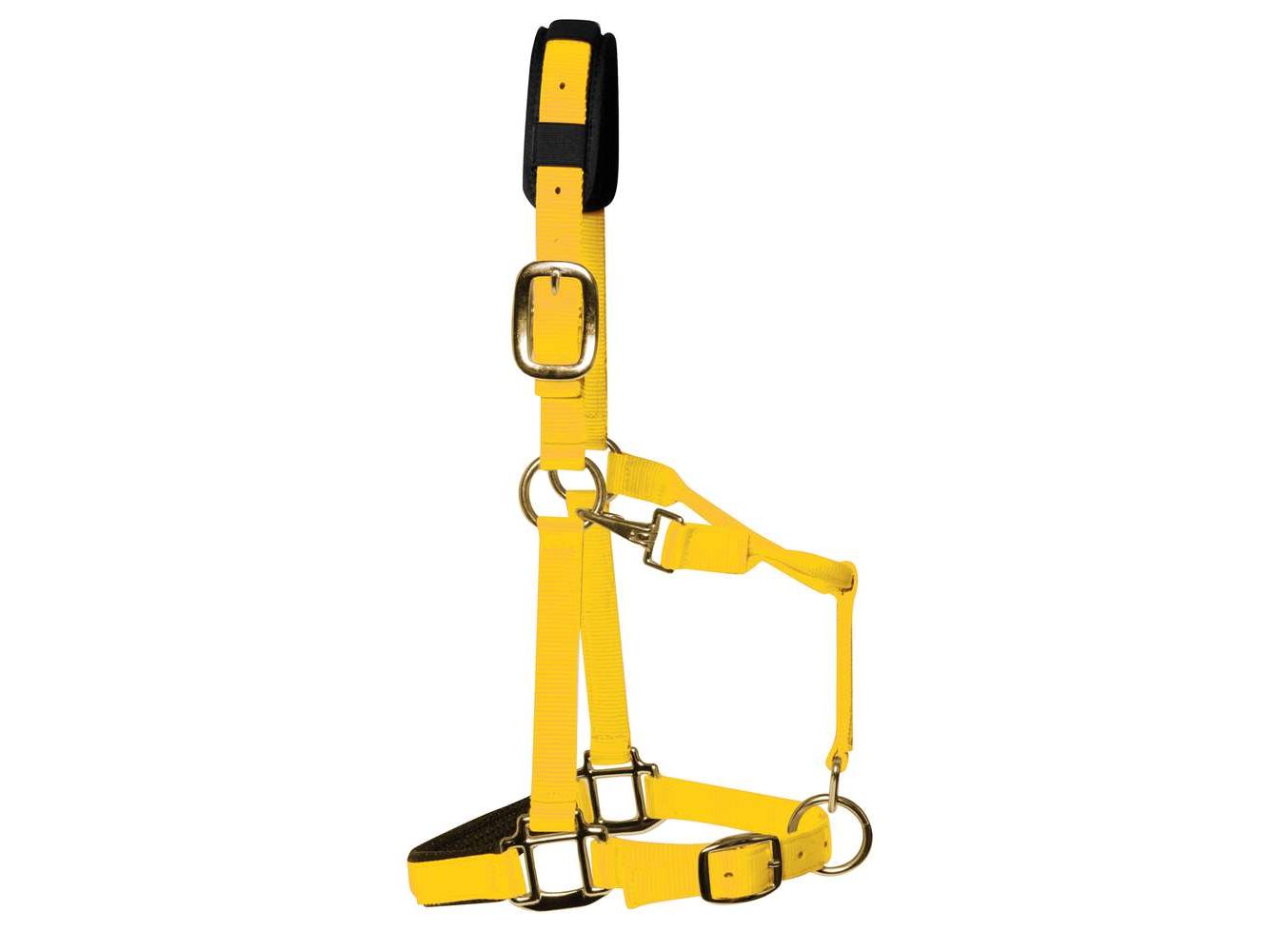 km elite padded headcollar yellow - equestrian equipment