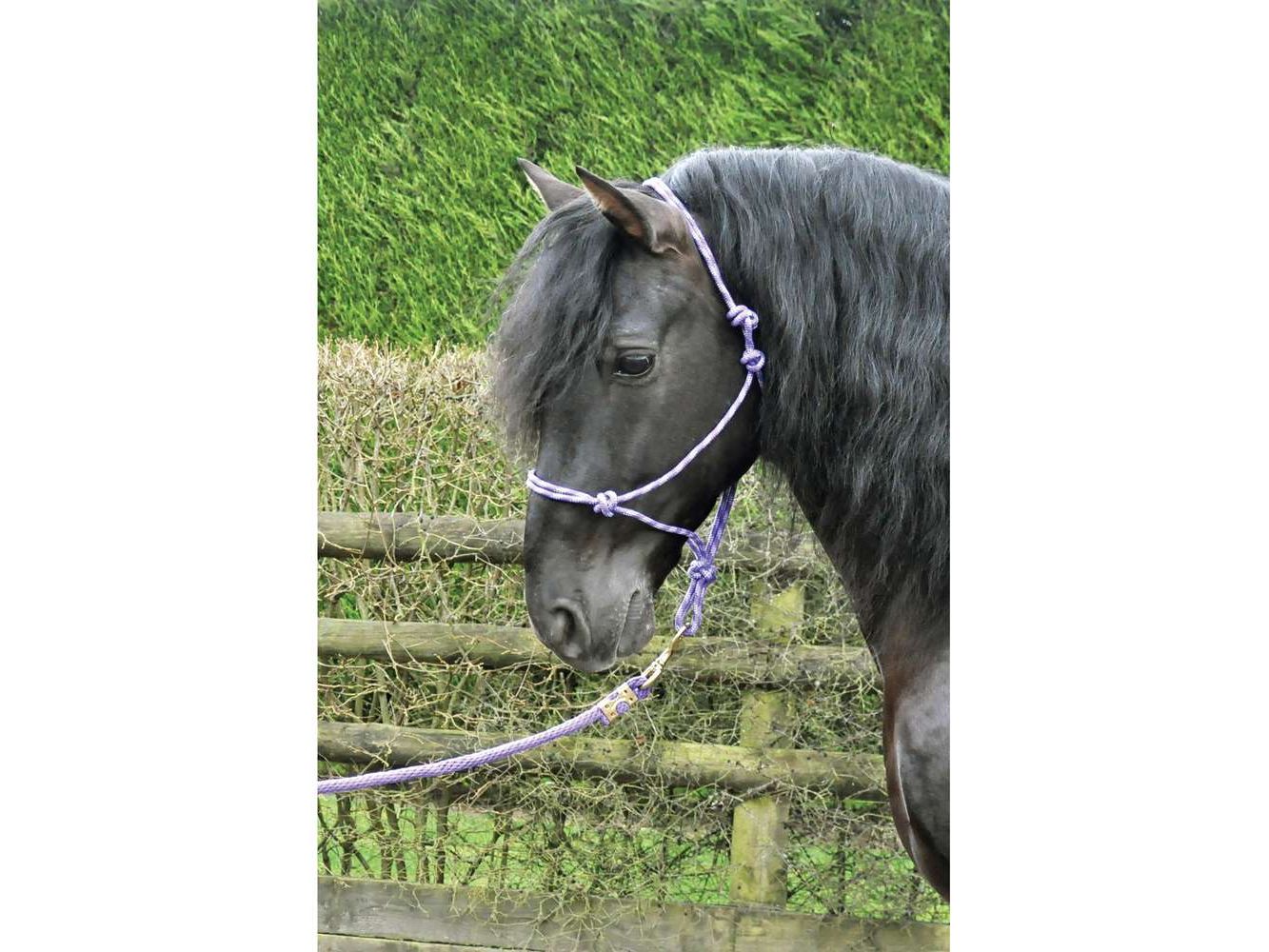 km elite rope halter black/grey - equestrian equipment