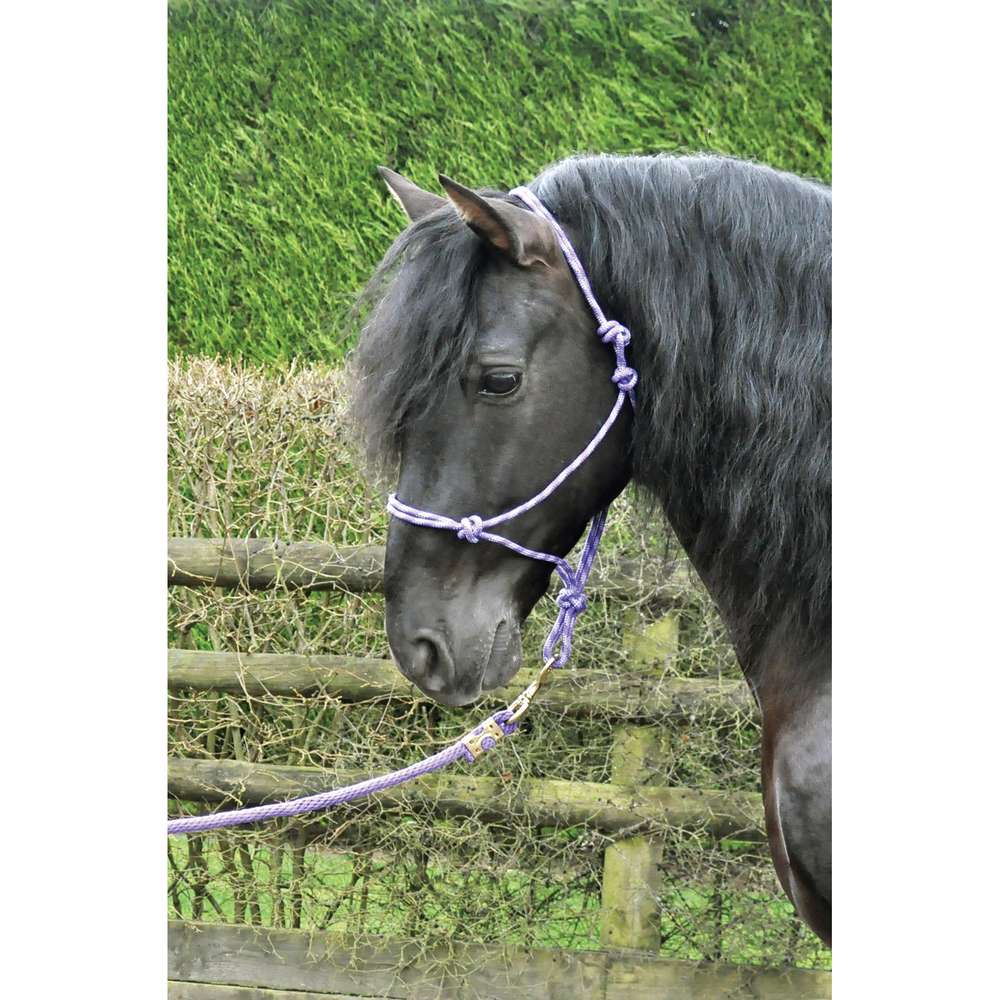 km elite rope halter purple/lilac - equestrian equipment