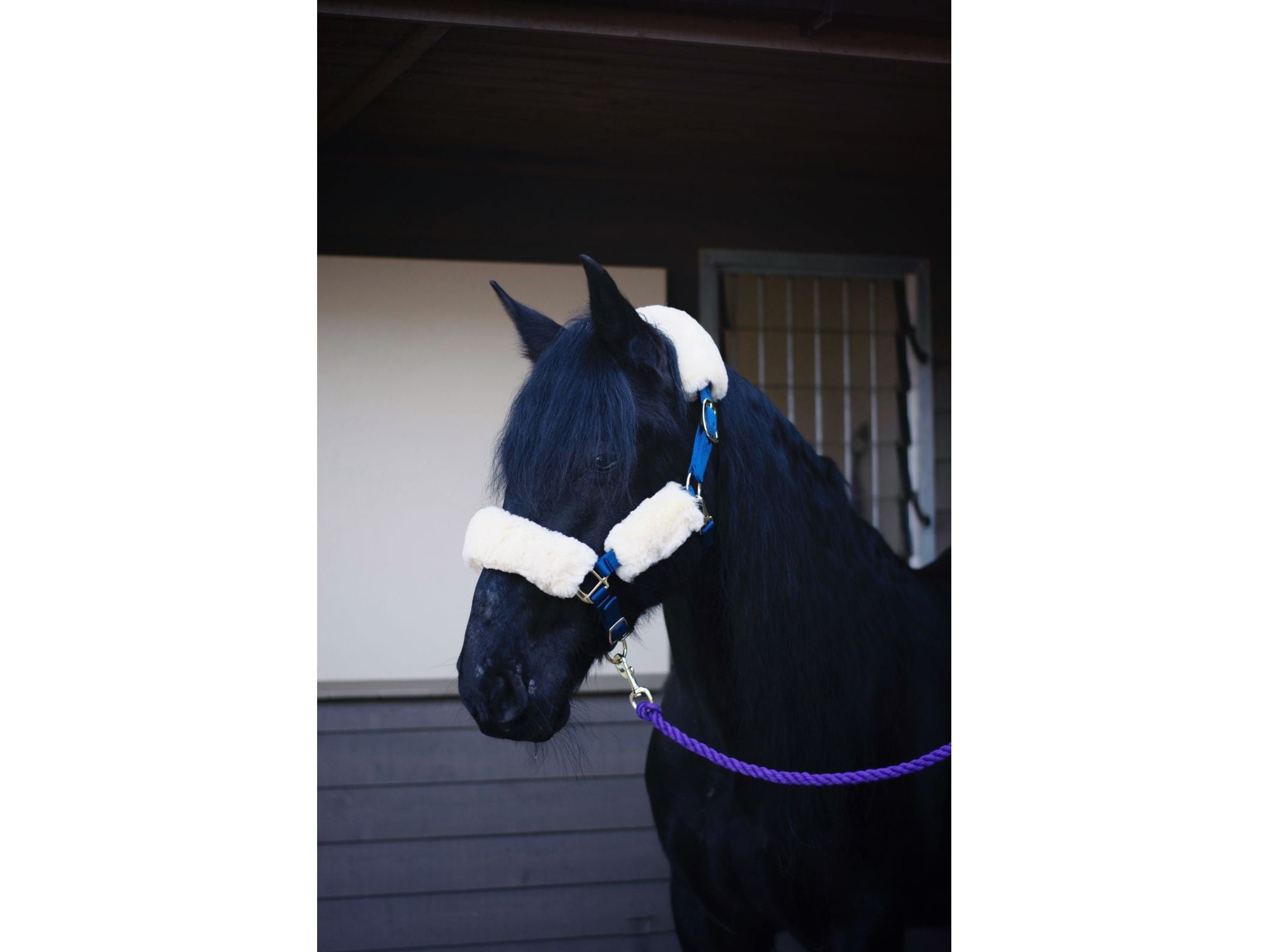 100% merino sheepskin headstall set - equestrian equipment