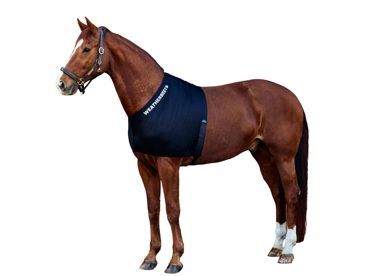 WeatherBeeta Stretch Shoulder Guard in Black