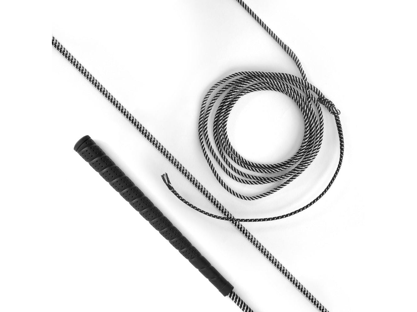lunge whip - equestrian equipment