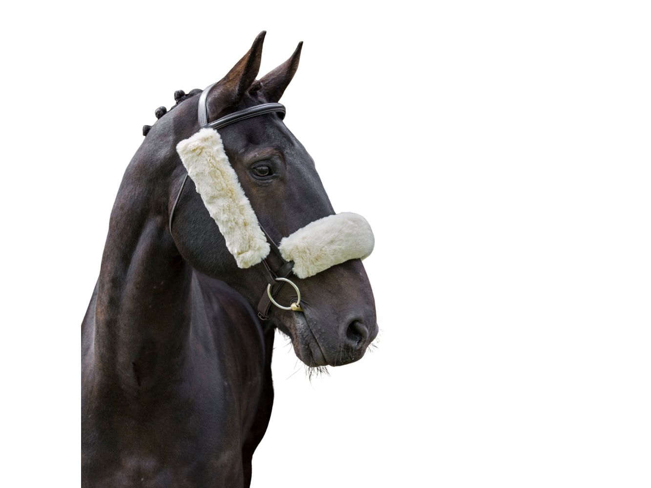 Synthetic Lambswool Noseband detail view