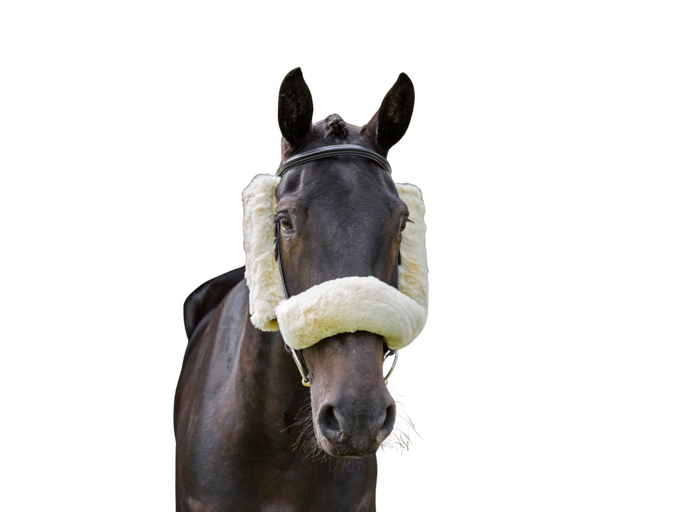 Synthetic Lambswool Noseband angled view