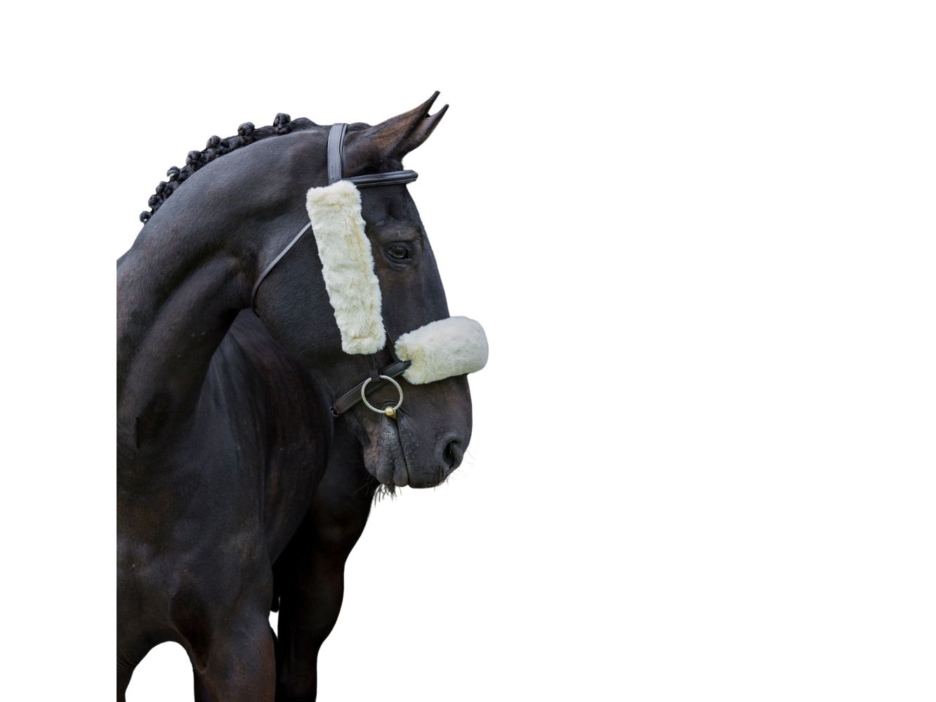 Synthetic Lambswool Noseband close-up