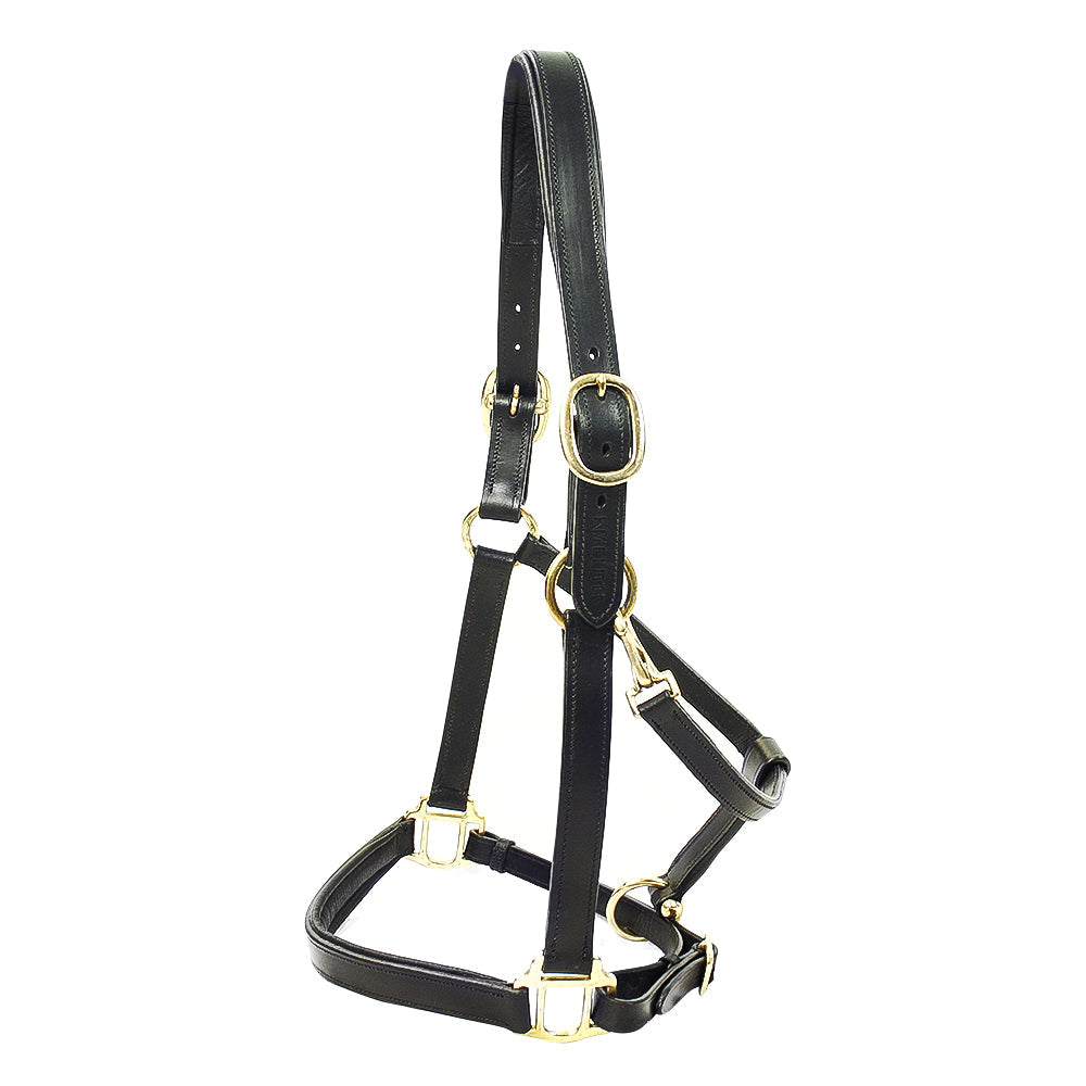 km elite padded leather headcollar black - equestrian equipment