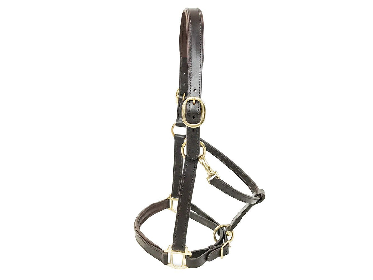 KM Elite Padded Leather Headcollar - Havana