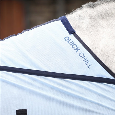 Equilibrium Quick Chill Cool Rug RRP £140.00