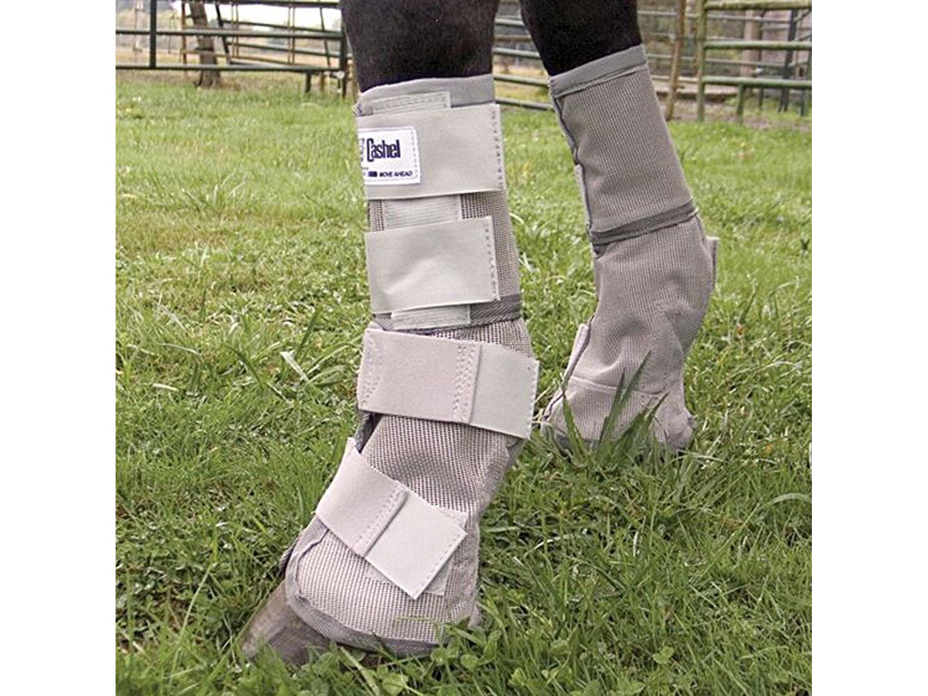 cashel crusader leg guards (pair) - equestrian equipment