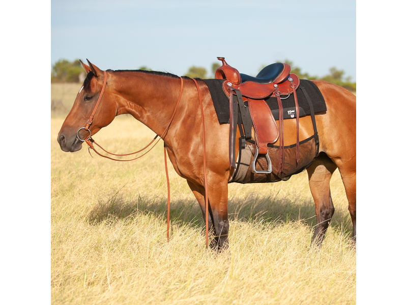cashel crusader quiet ride belly guard - equestrian equipment