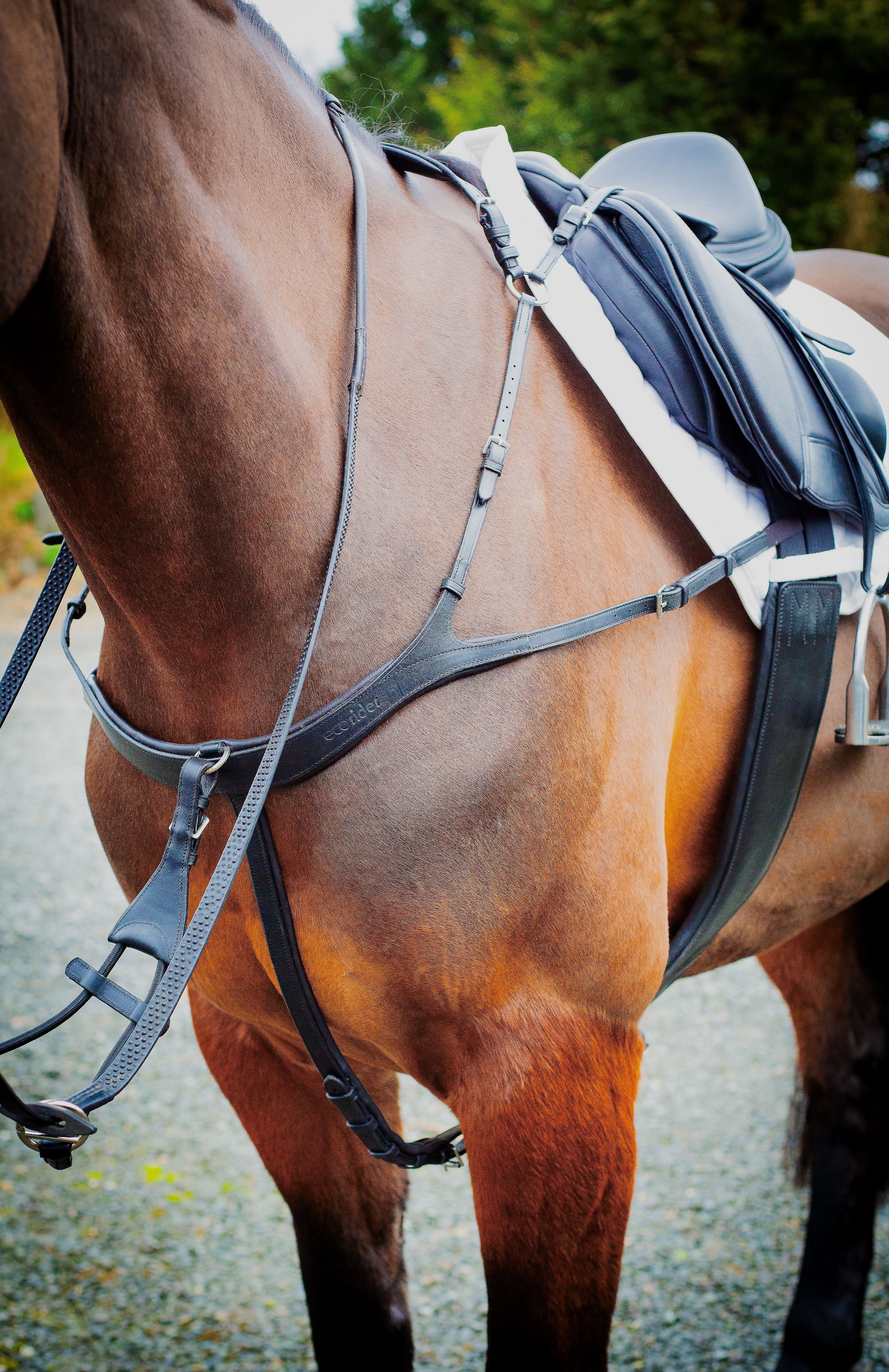 Tara Breastplate