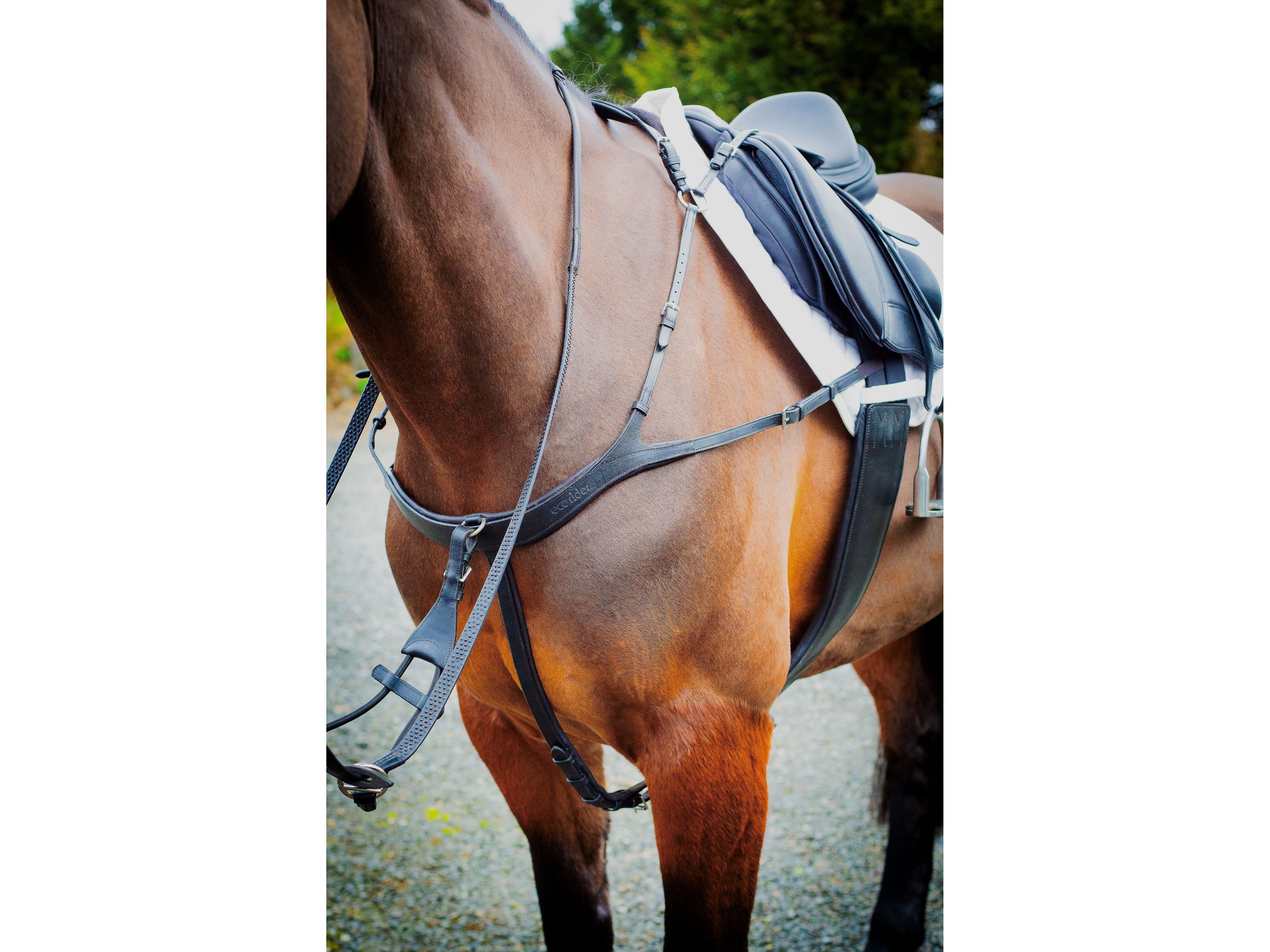Tara Breastplate angled view