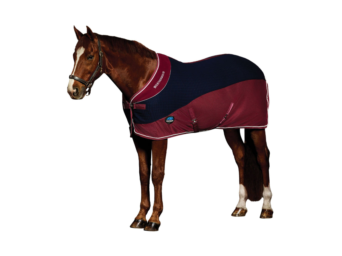 WeatherBeeta Thermo-Air Cooler Standard Neck - Navy/Burgundy