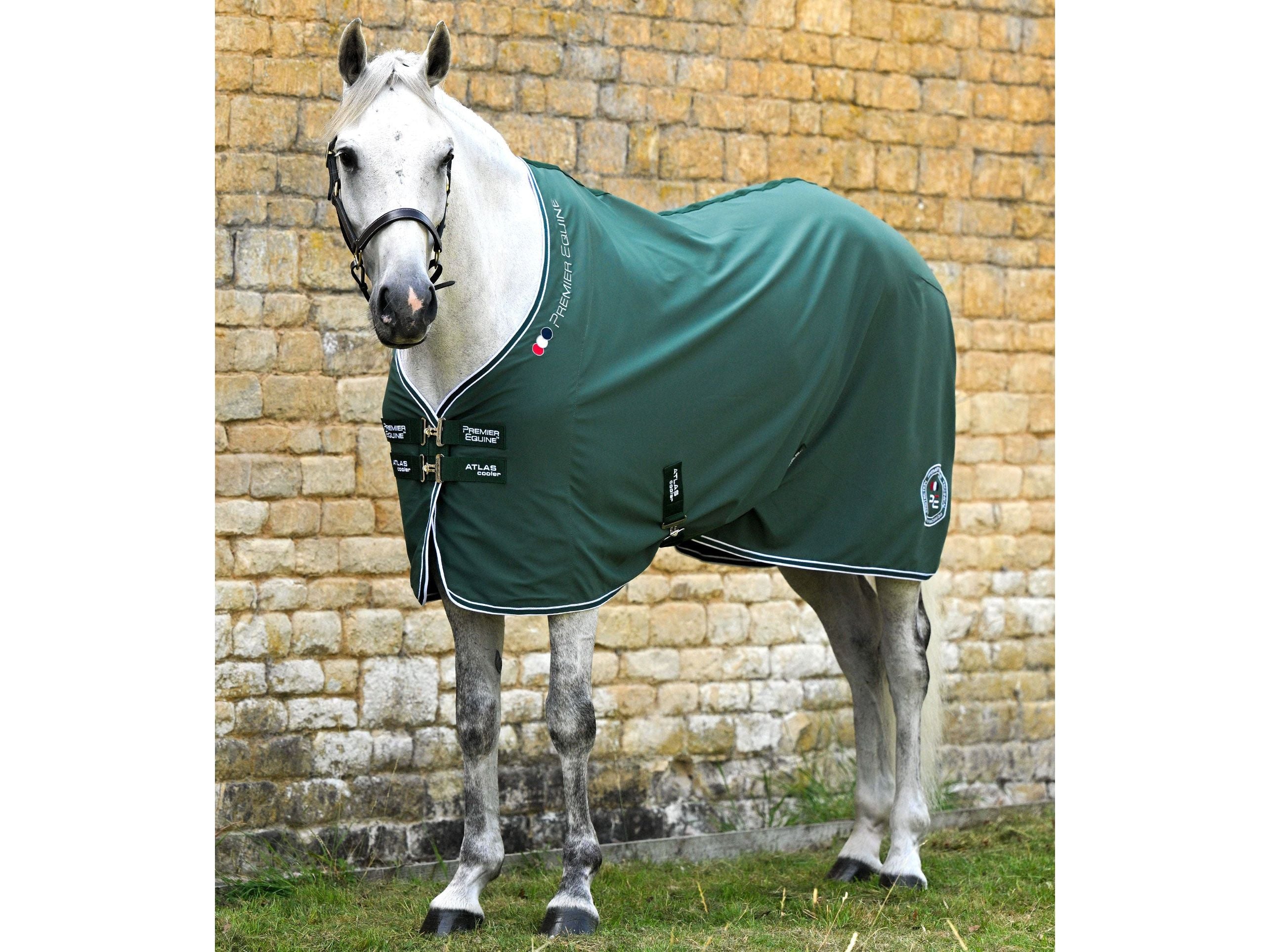Atlas Horse Cooler Rug