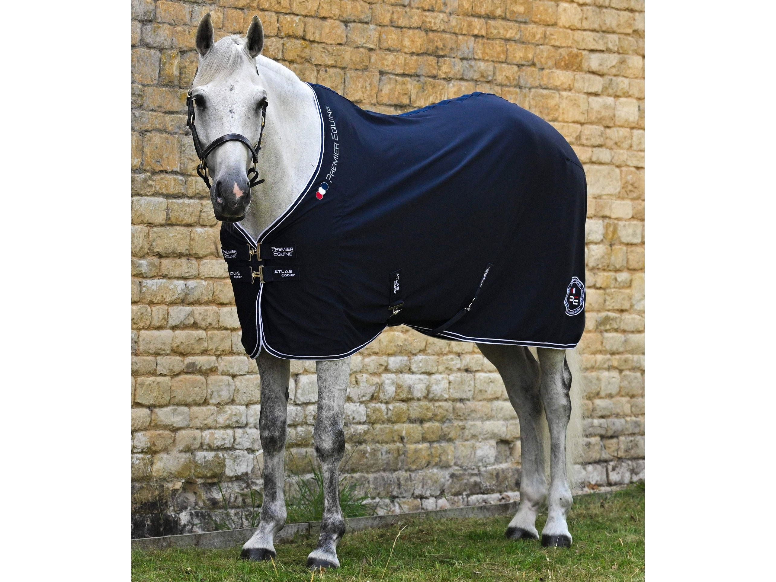 Atlas Horse Cooler Rug