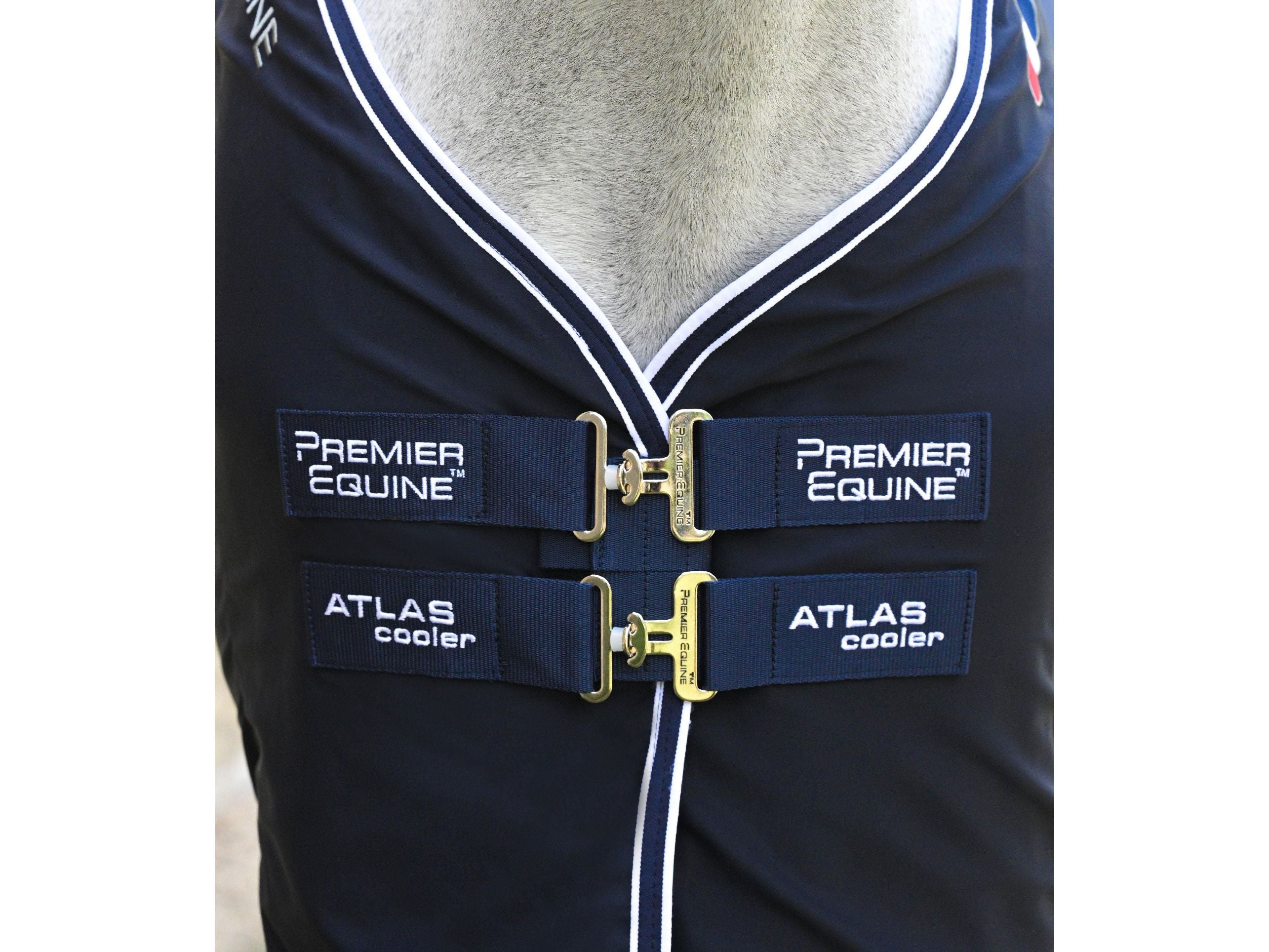 Atlas Horse Cooler Rug