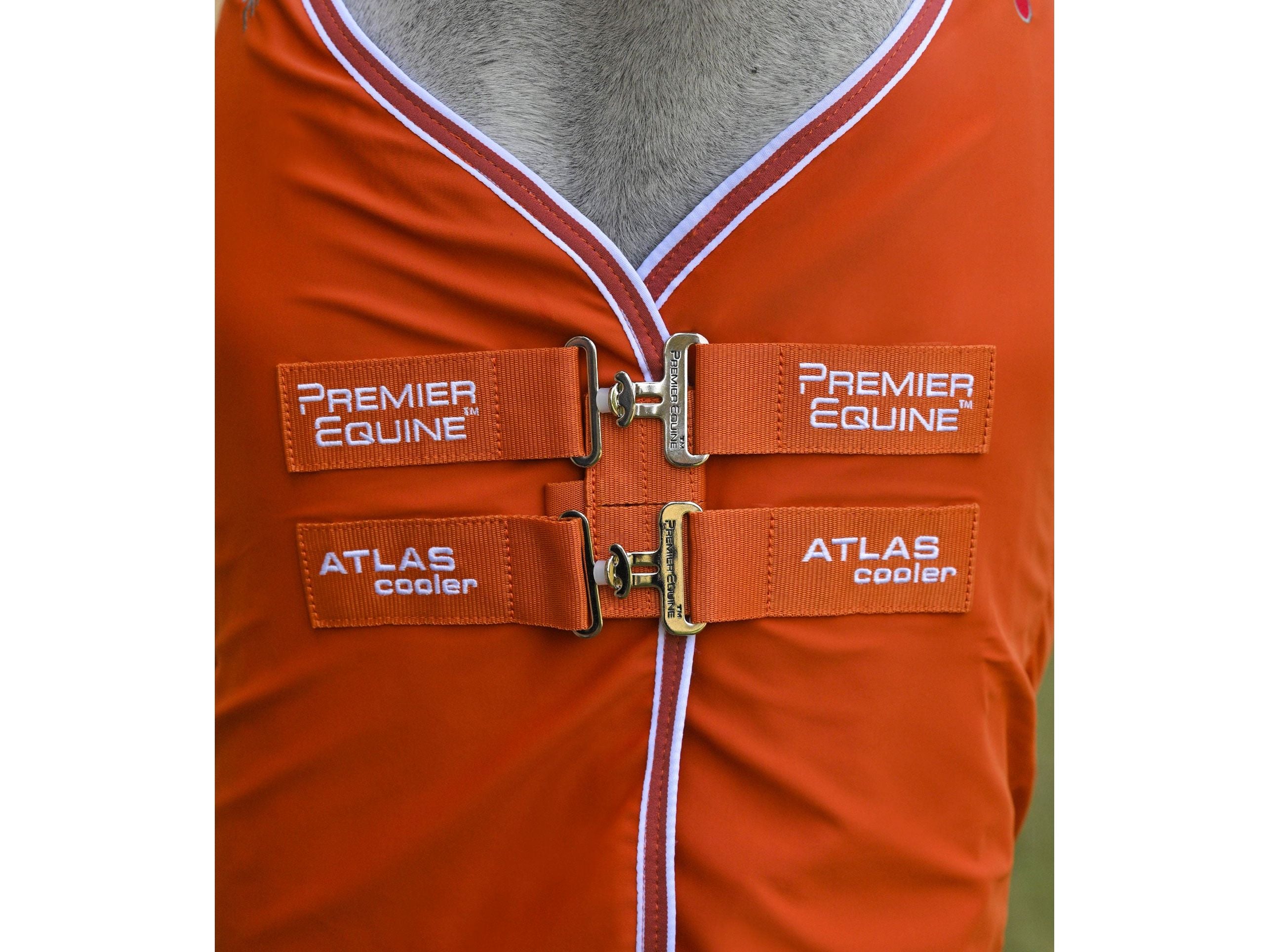 Atlas Horse Cooler Rug