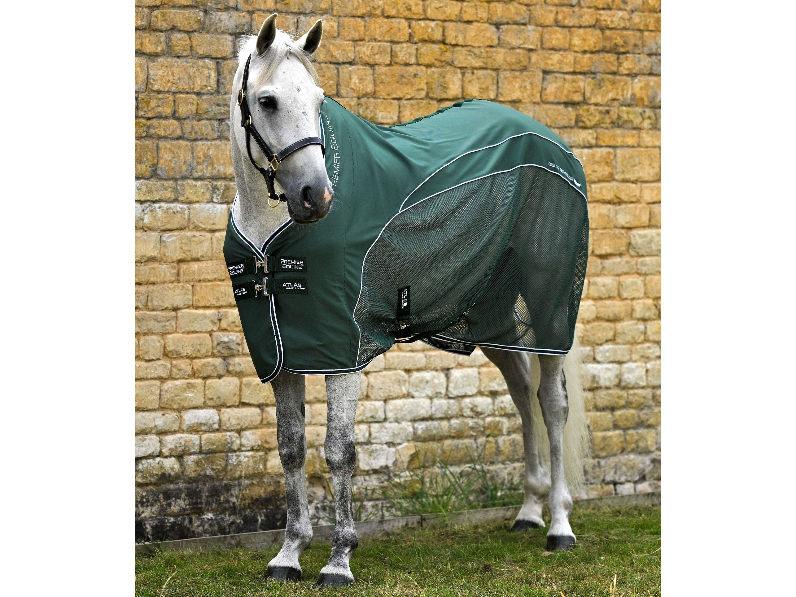 Atlas Mesh Horse Cooler Rug