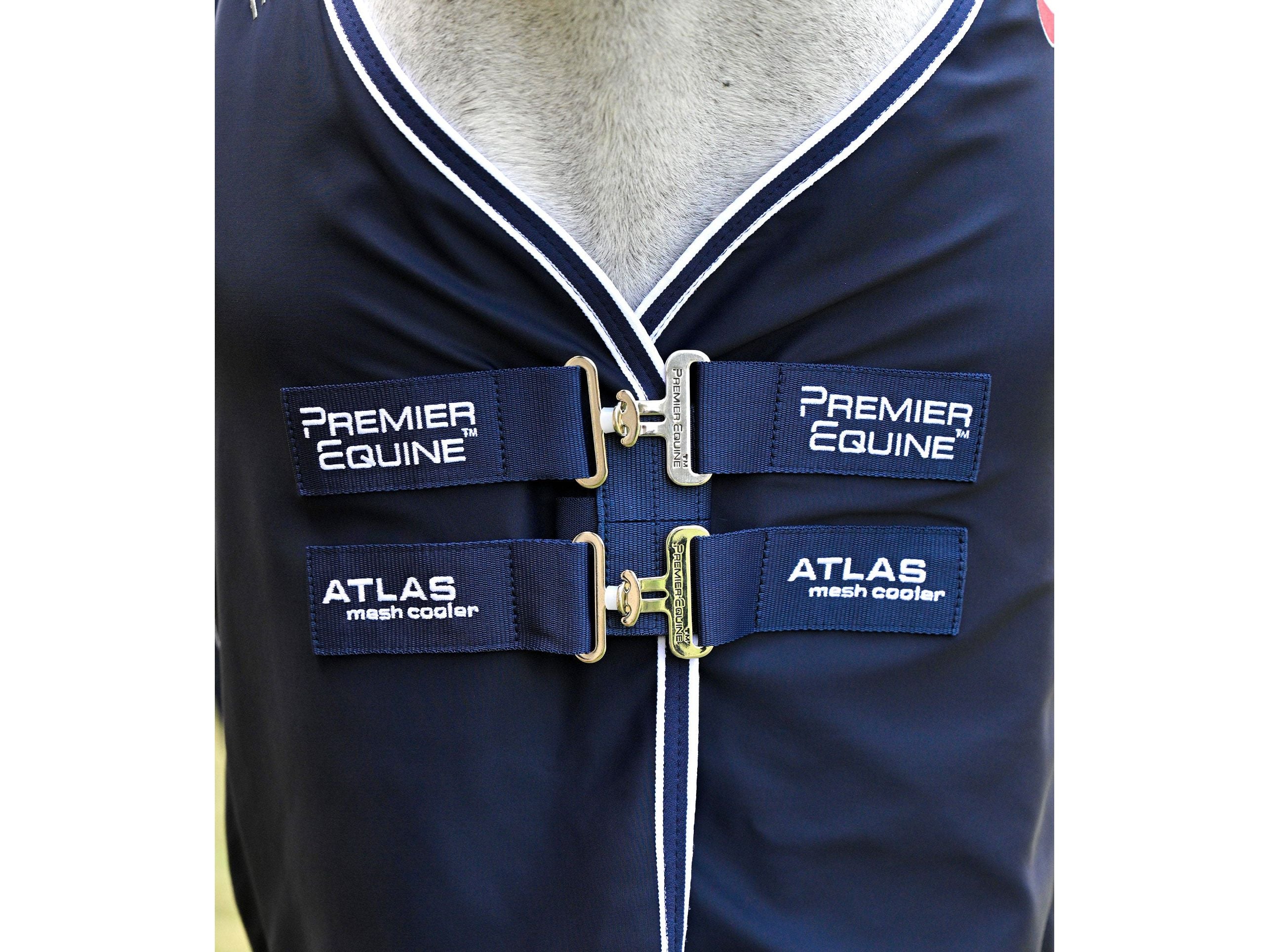 Atlas Mesh Horse Cooler Rug