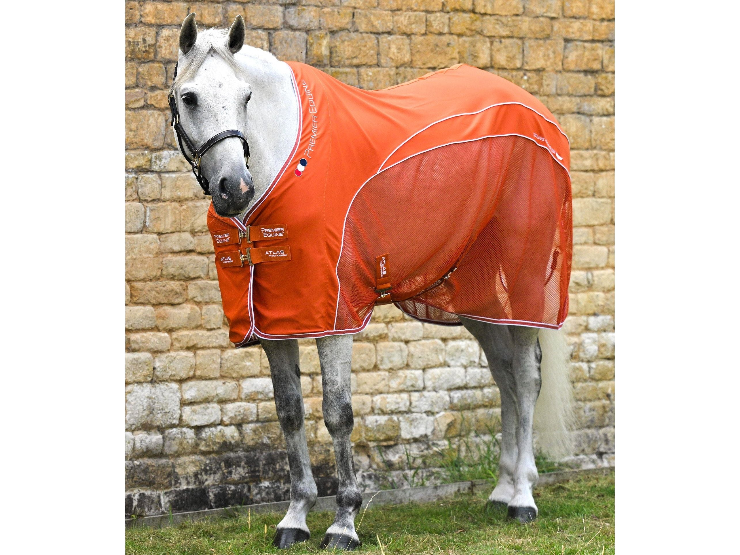 Atlas Mesh Horse Cooler Rug