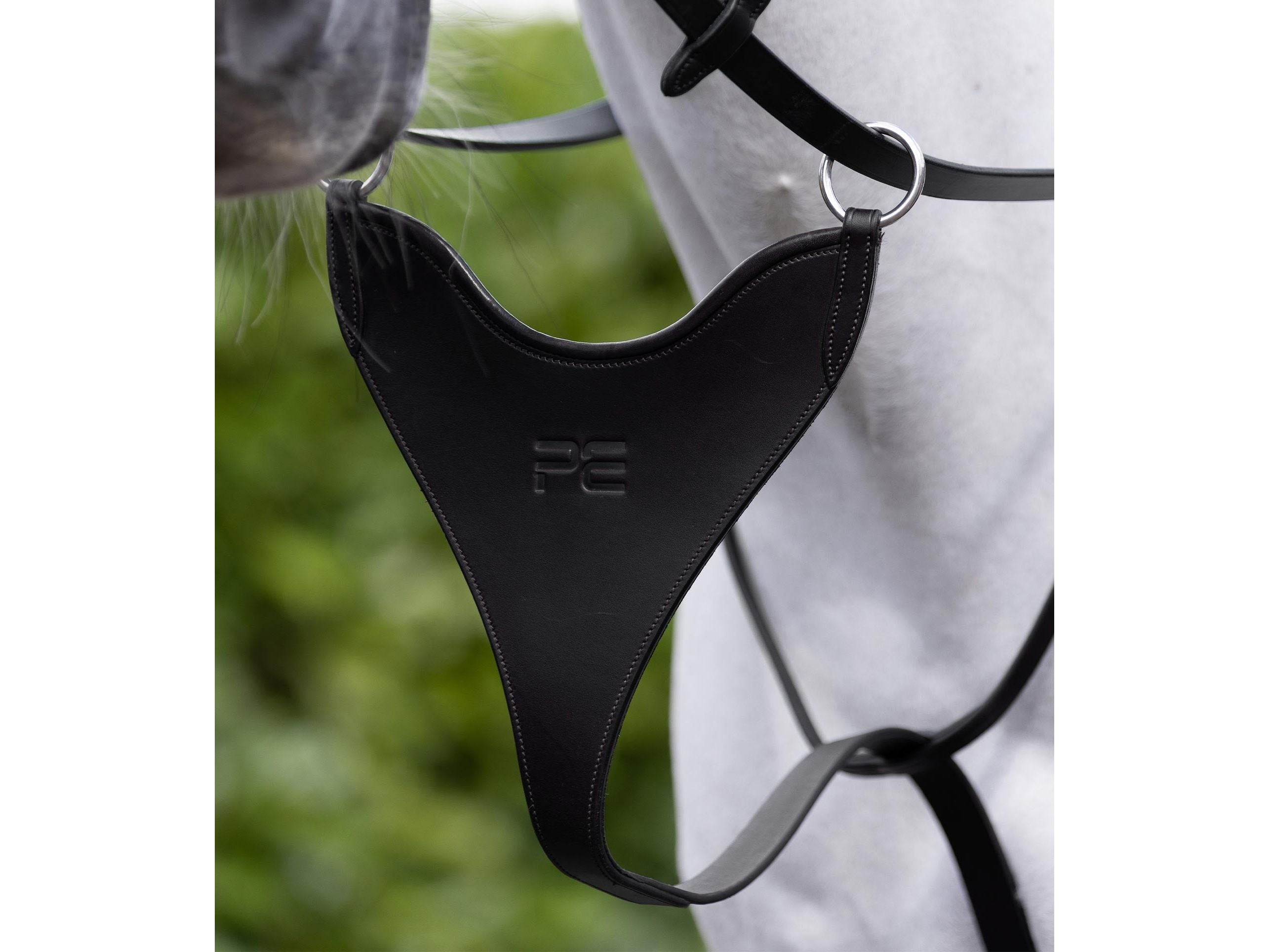 European Bib Martingale