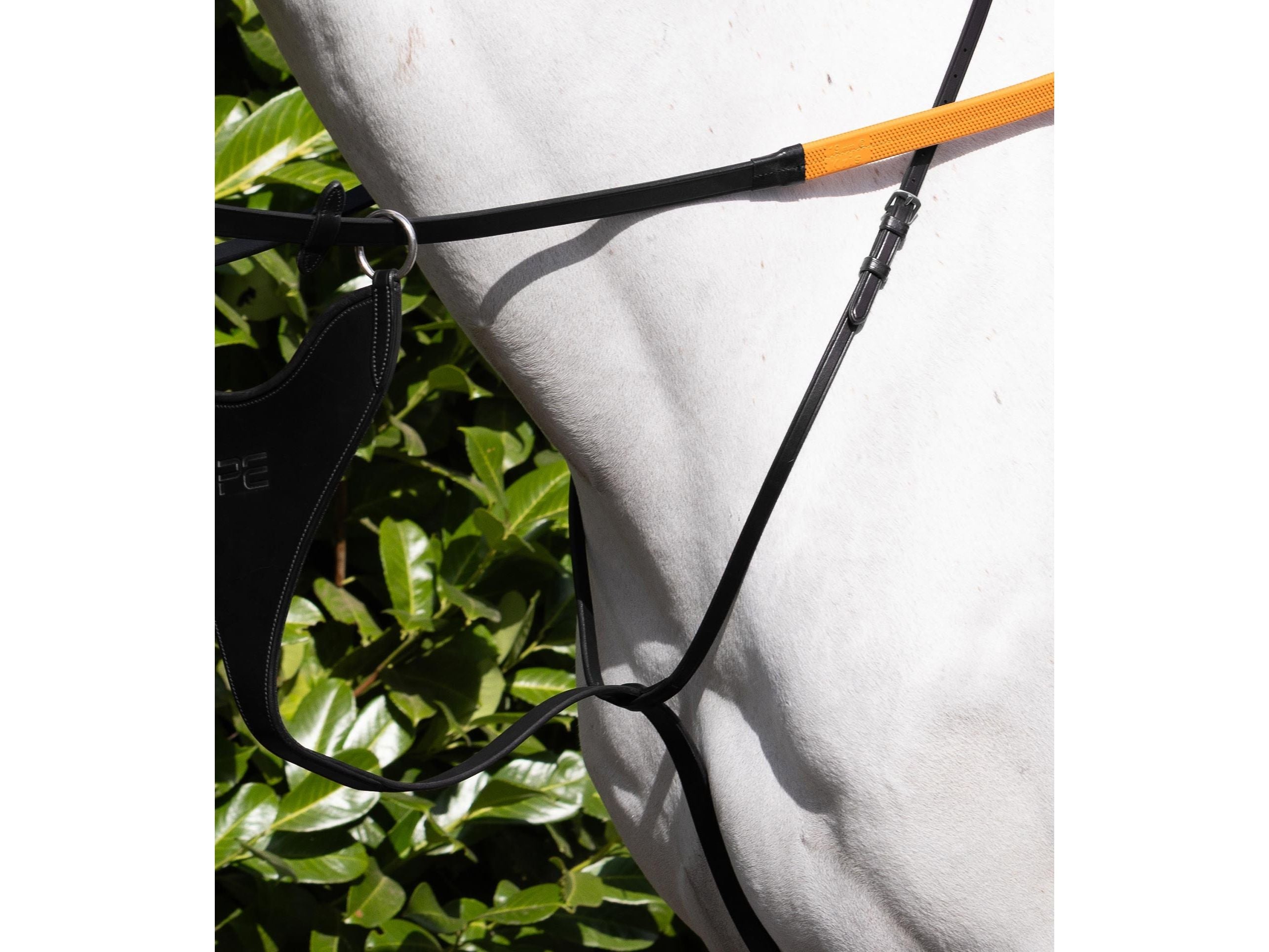 European Bib Martingale