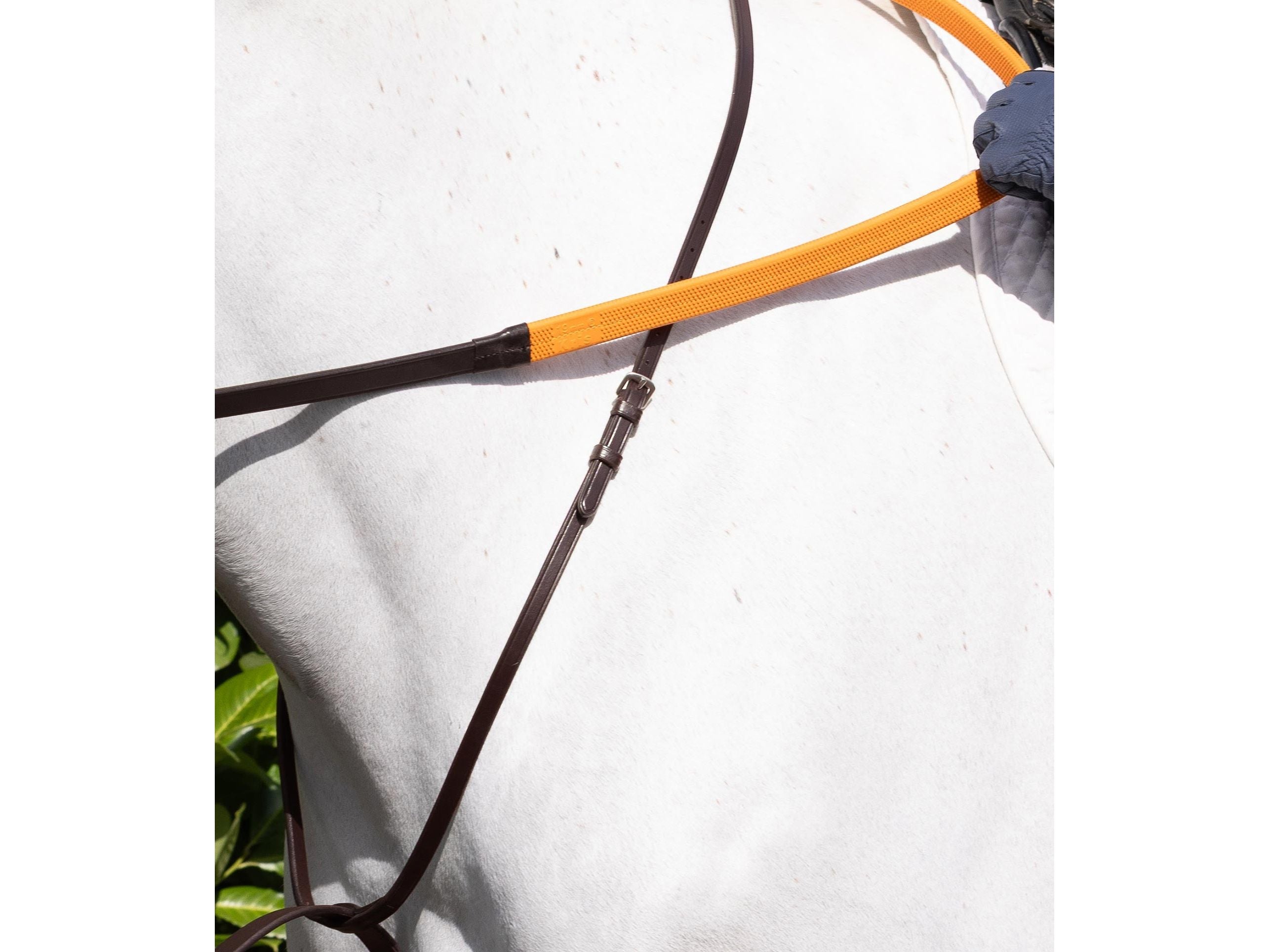 European Bib Martingale