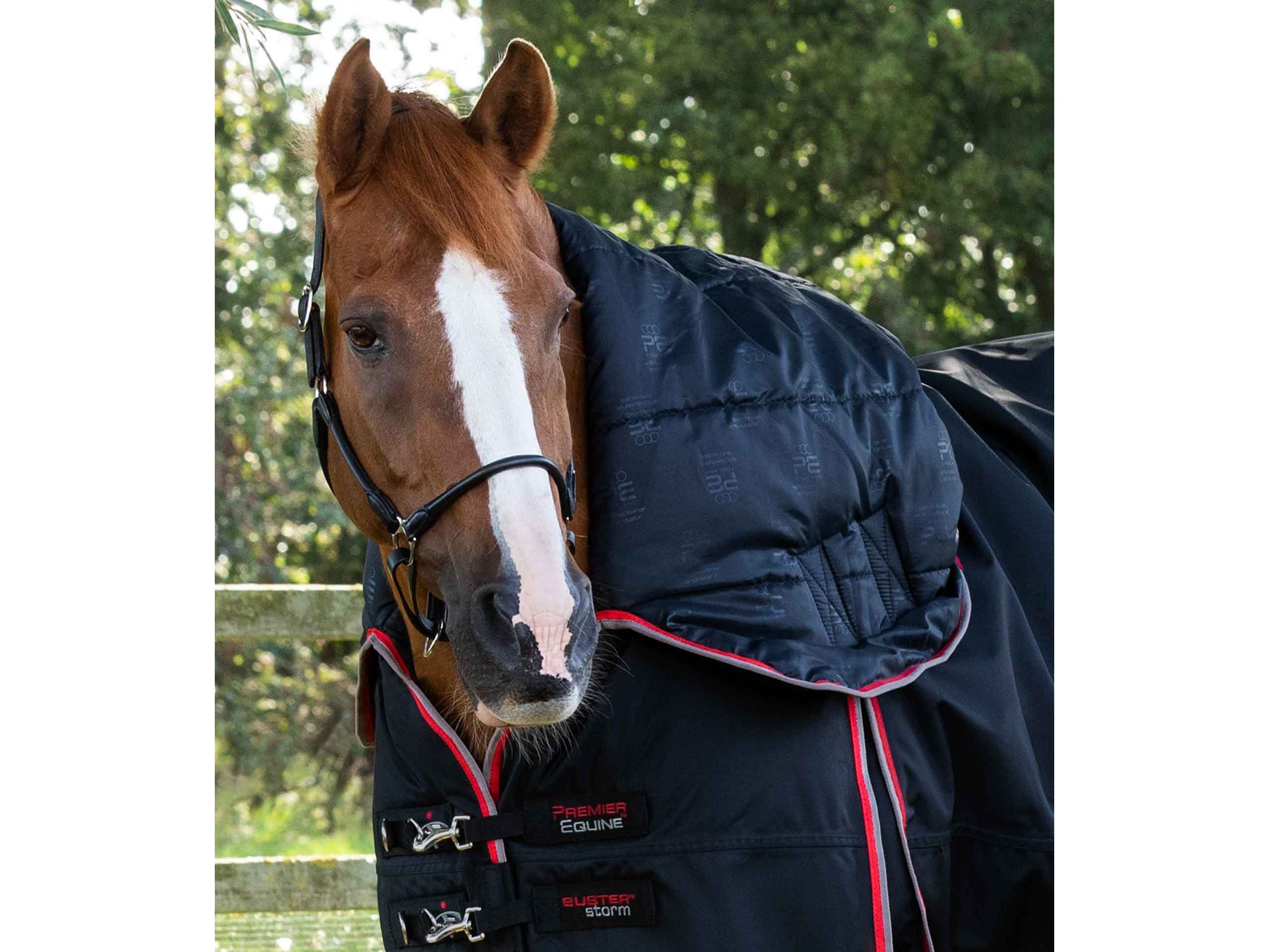 Buster Storm 400g Combo Turnout Rug with Snug-Fit Neck