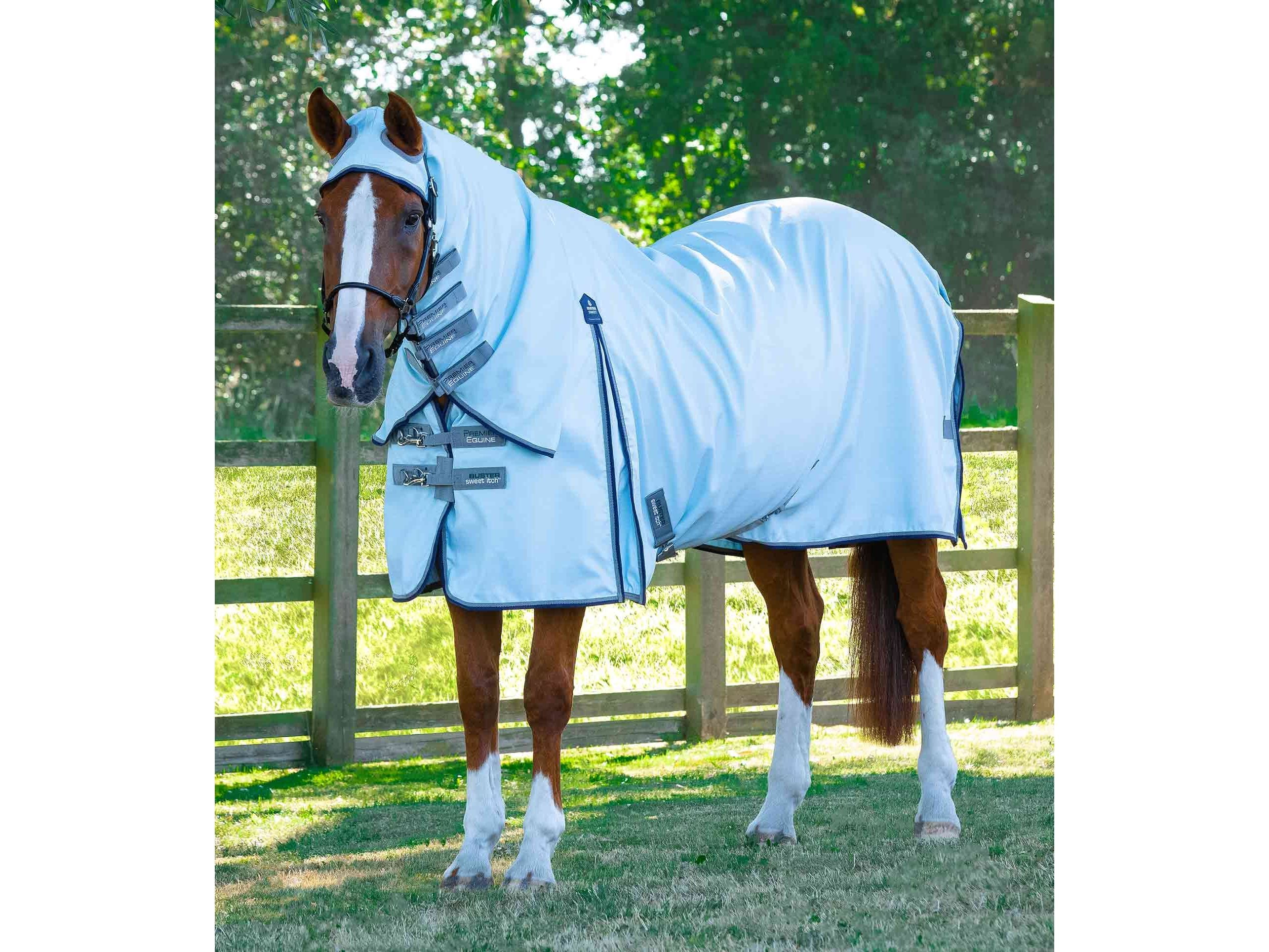 Buster Sweet Itch Fly Rug with Surcingles