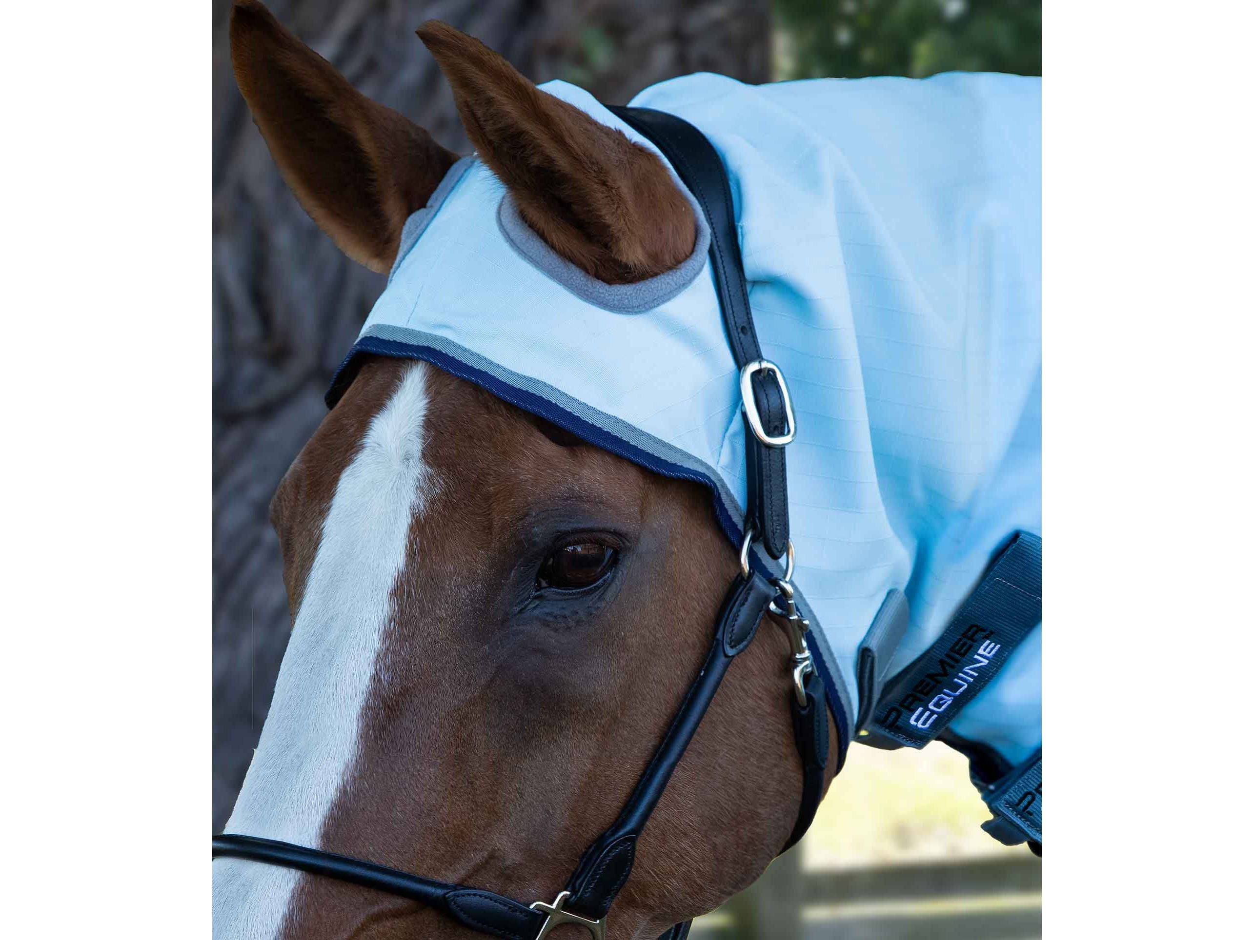 Buster Sweet Itch Fly Rug with Surcingles