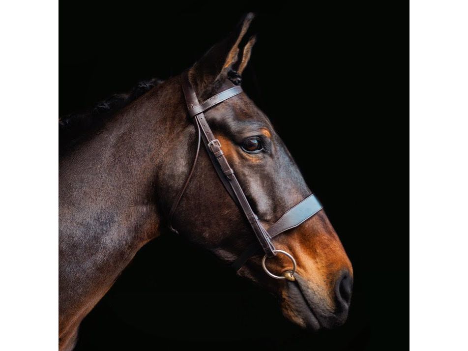 Hunt Bridle 2 Browbands angled view