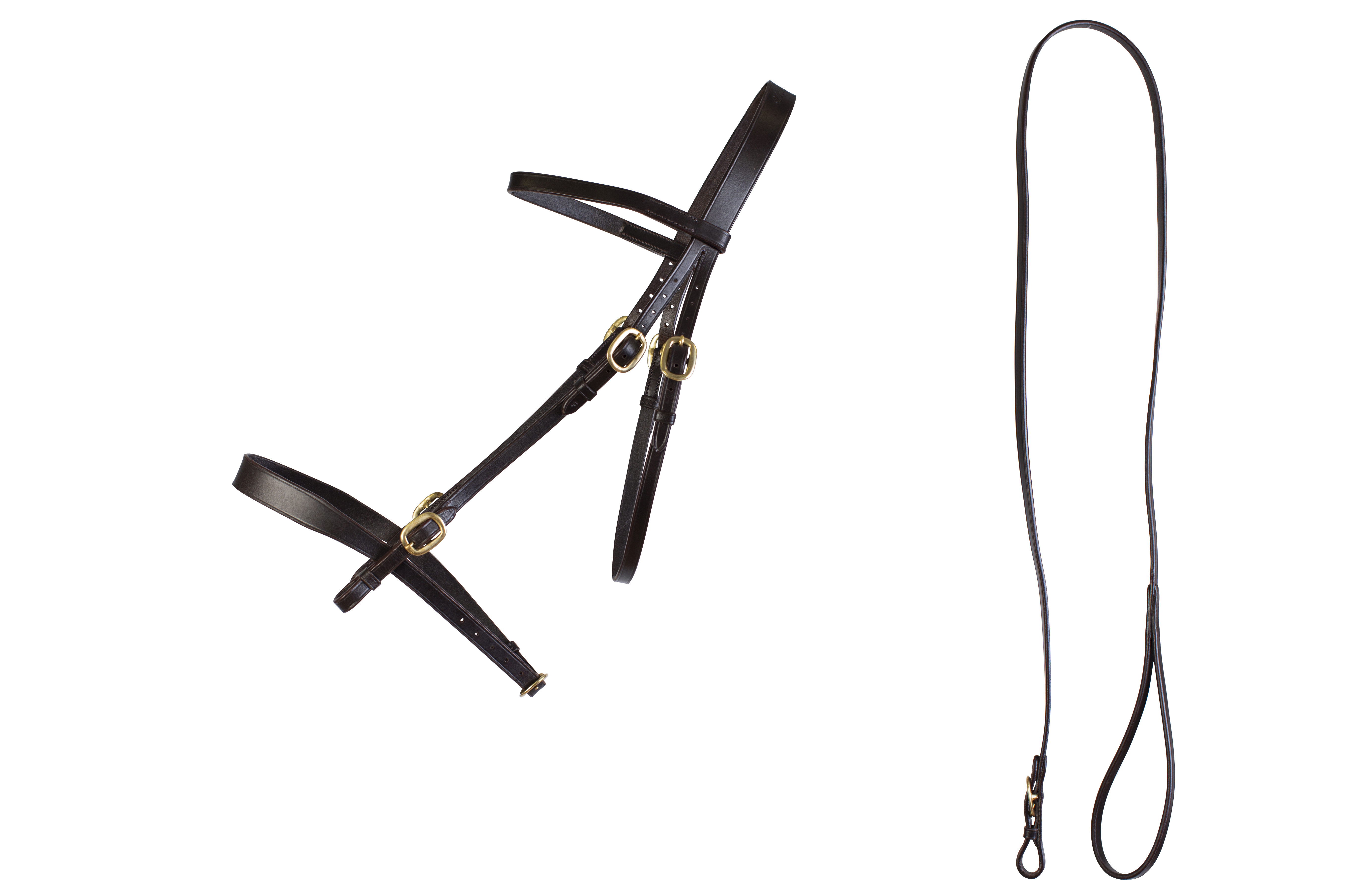 In Hand Bridle and Lead