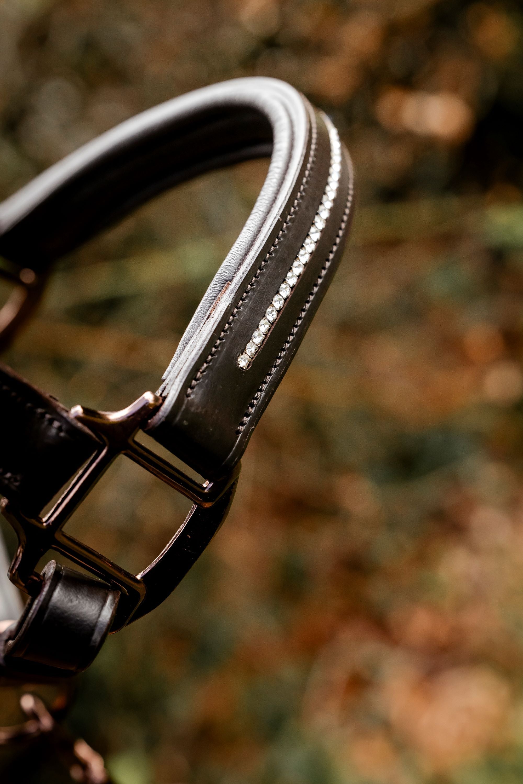 Competition Leather Headcollar & Rope
