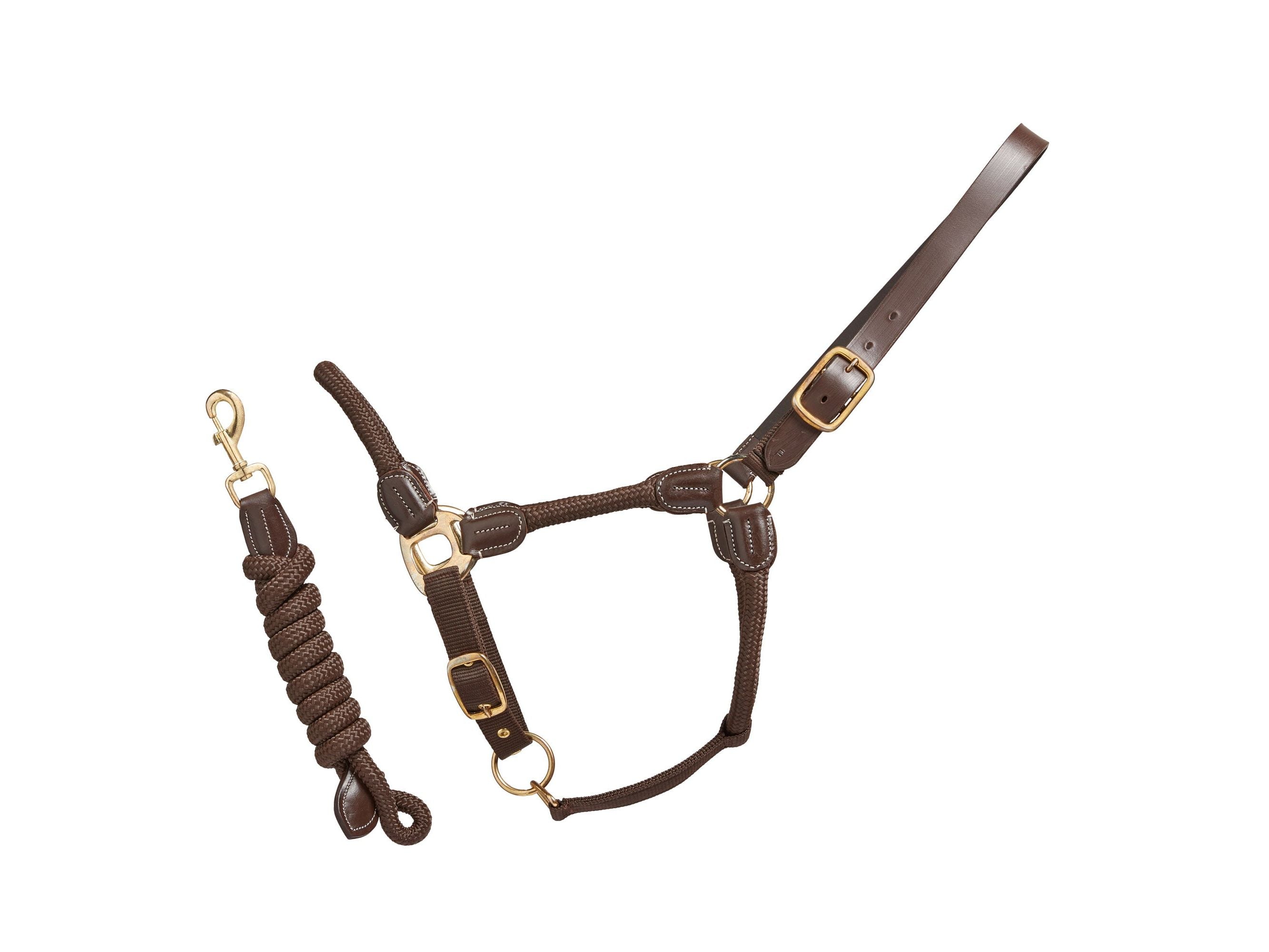 Rope Leather Headcollar and Leadrope detail view