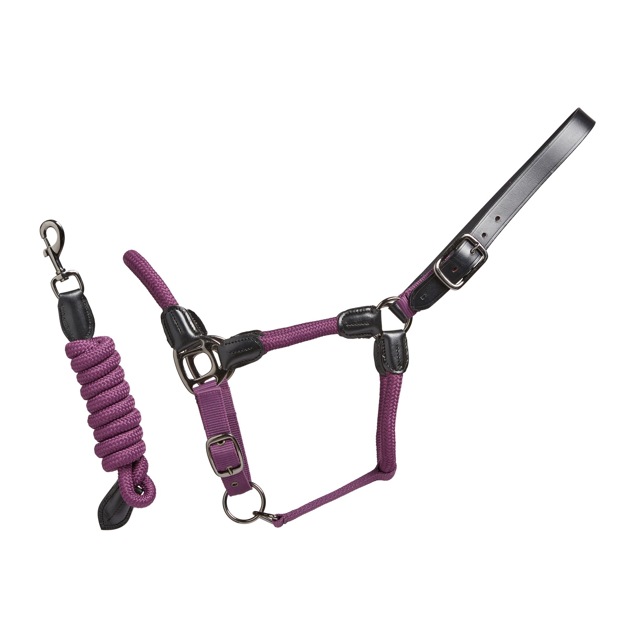 Rope Leather Headcollar and Leadrope