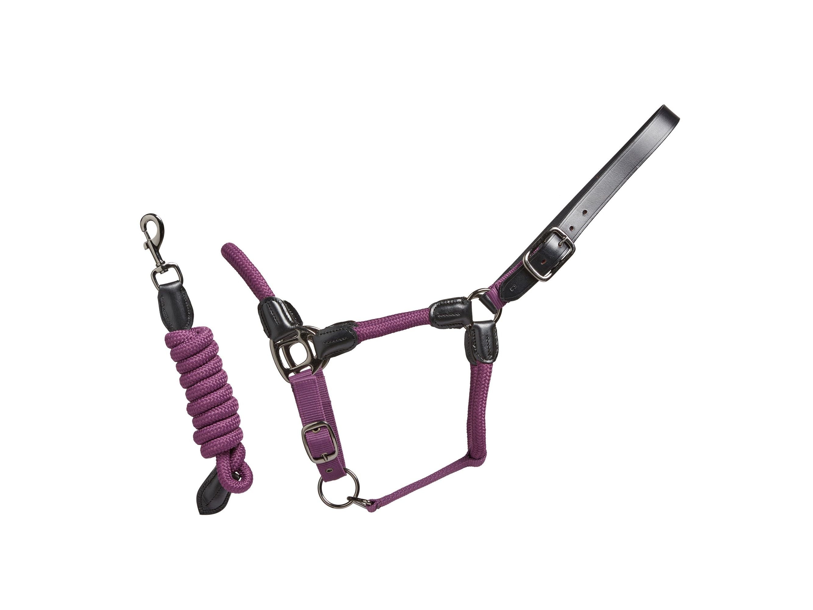 Rope Leather Headcollar and Leadrope angled view