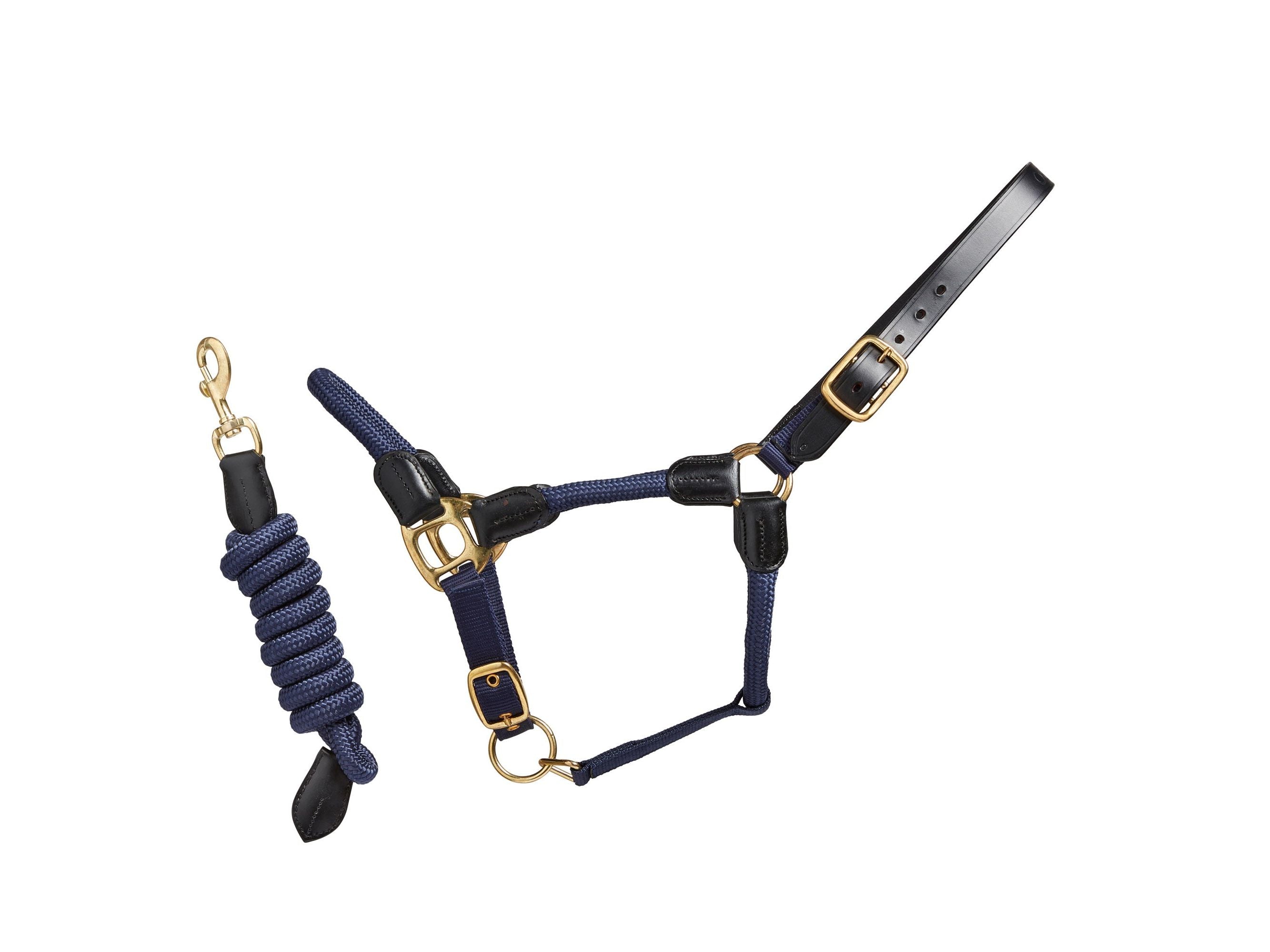 Rope Leather Headcollar and Leadrope close-up