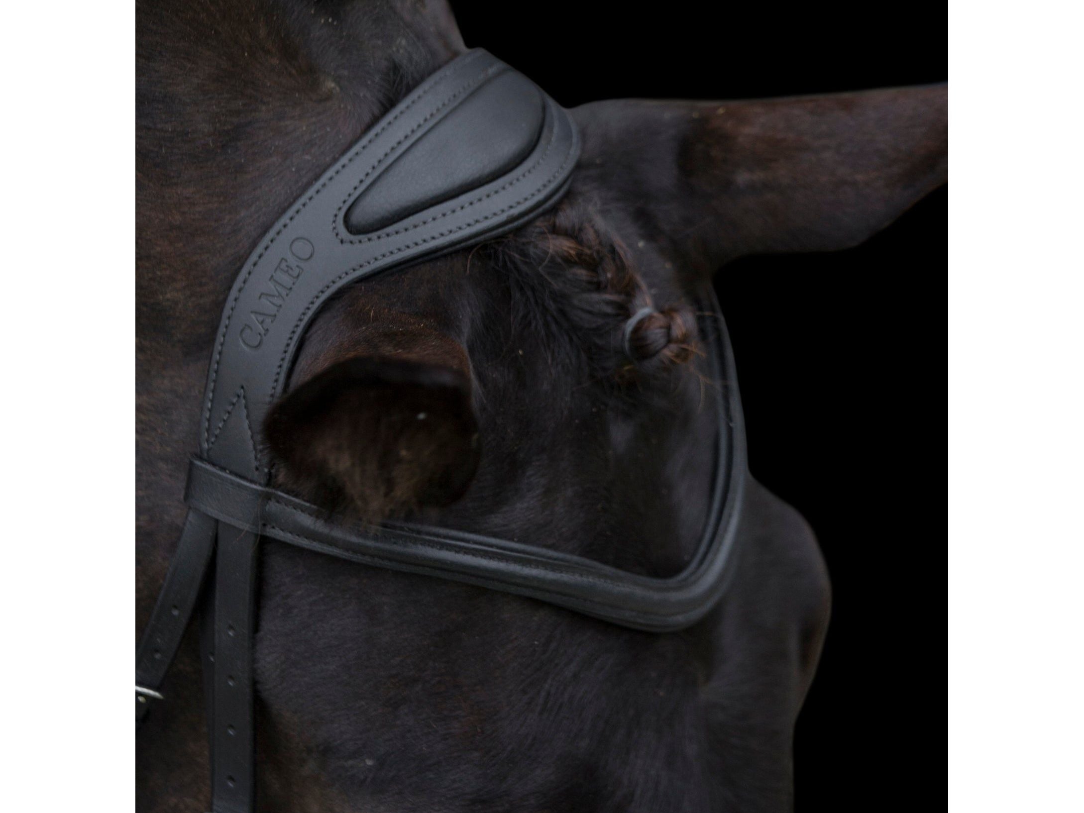Anatomic Comfort Bridle side view