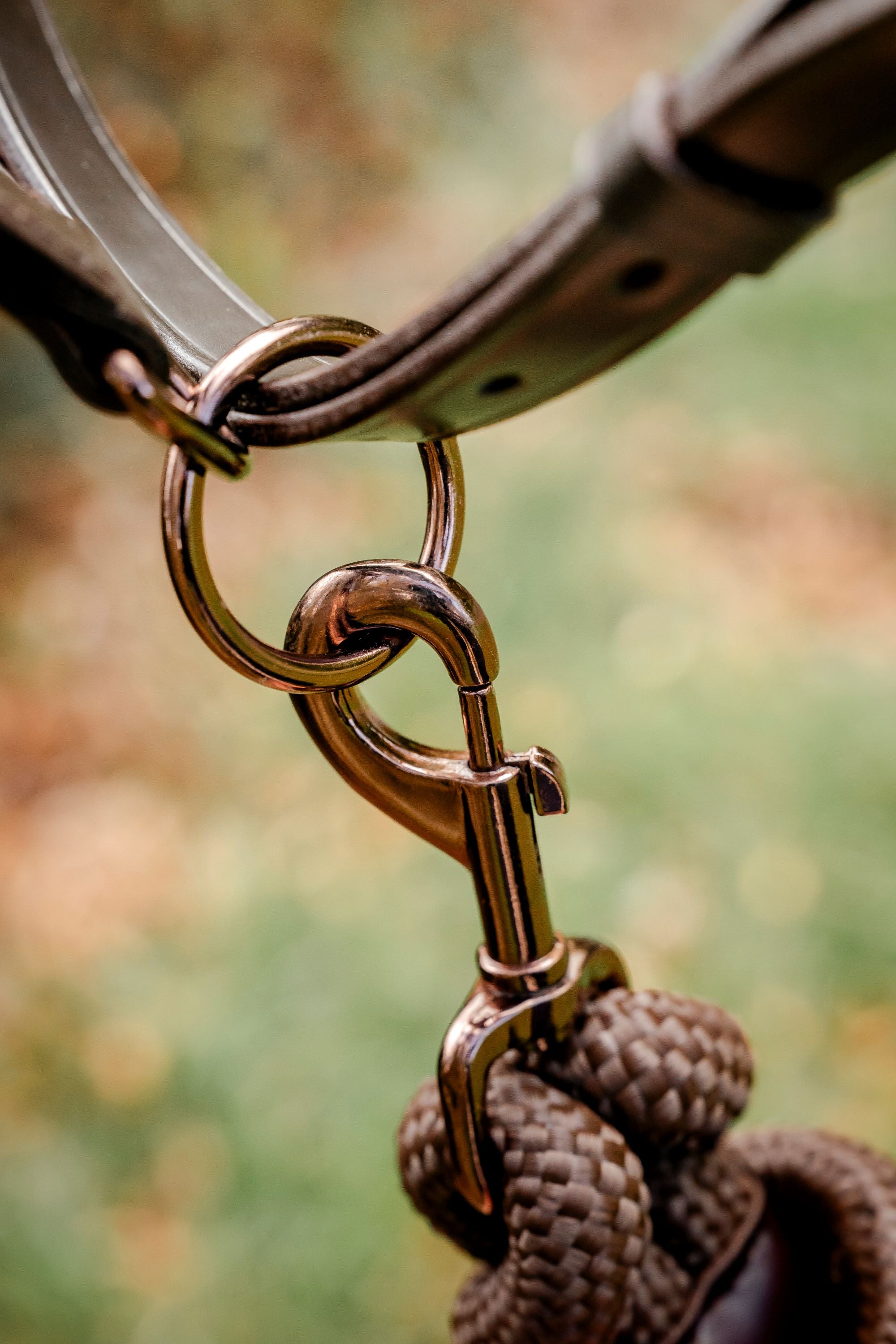 Competition Leather Headcollar & Rope
