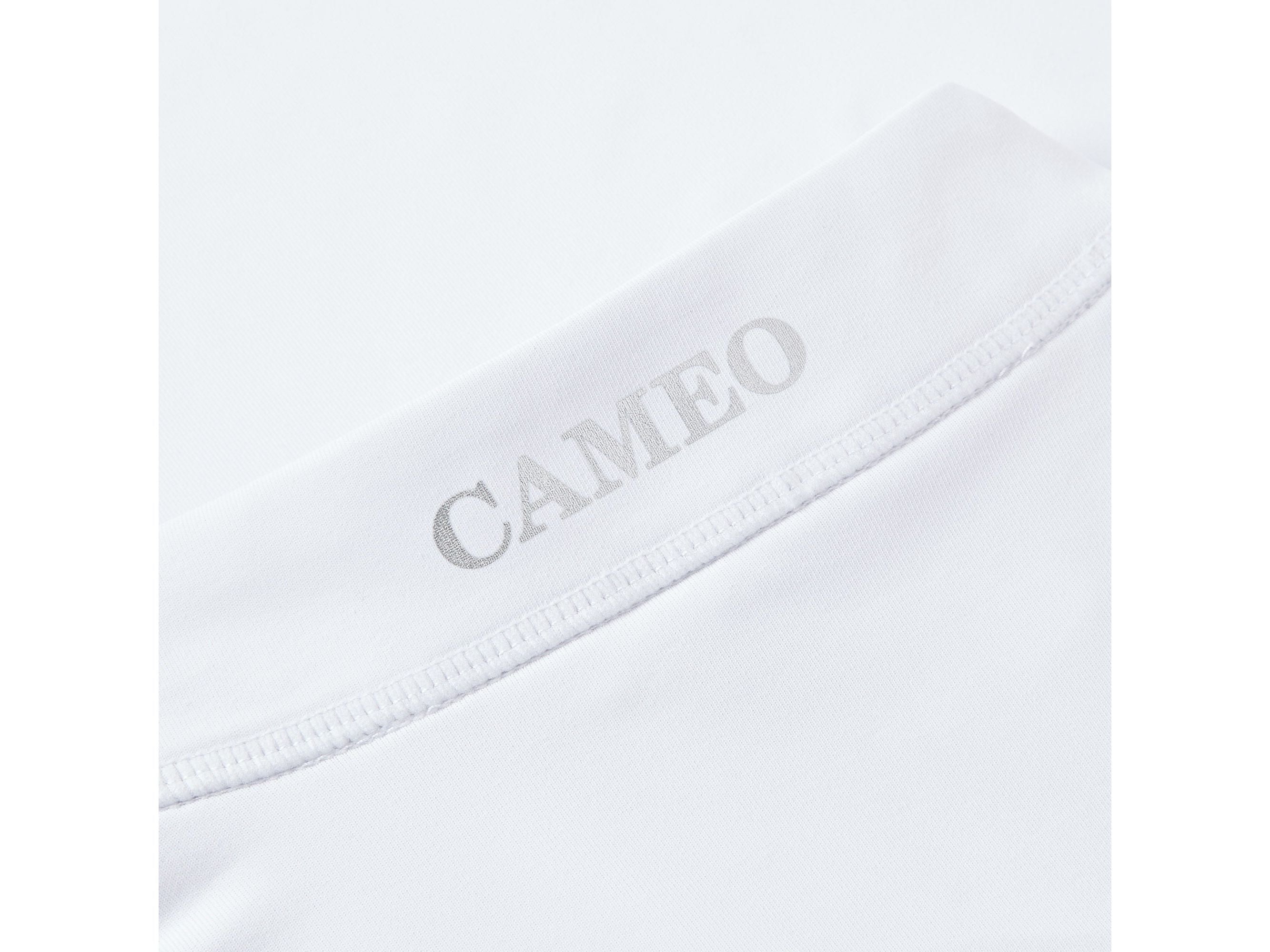 Core Collection Baselayer view