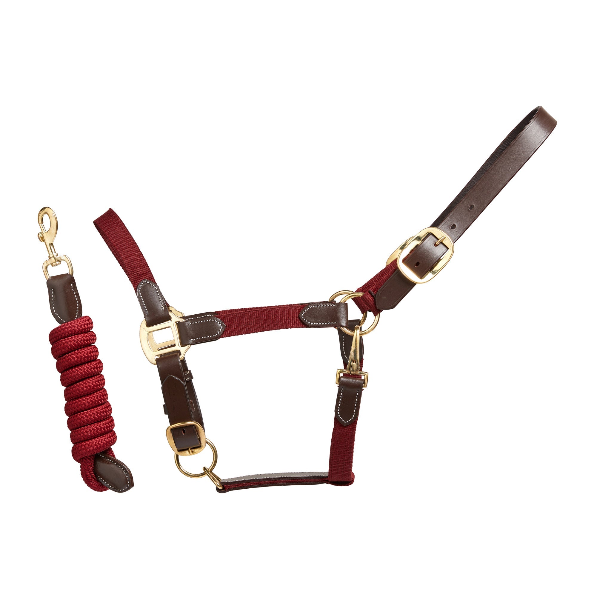 Performance Leather Headcollar & Lead