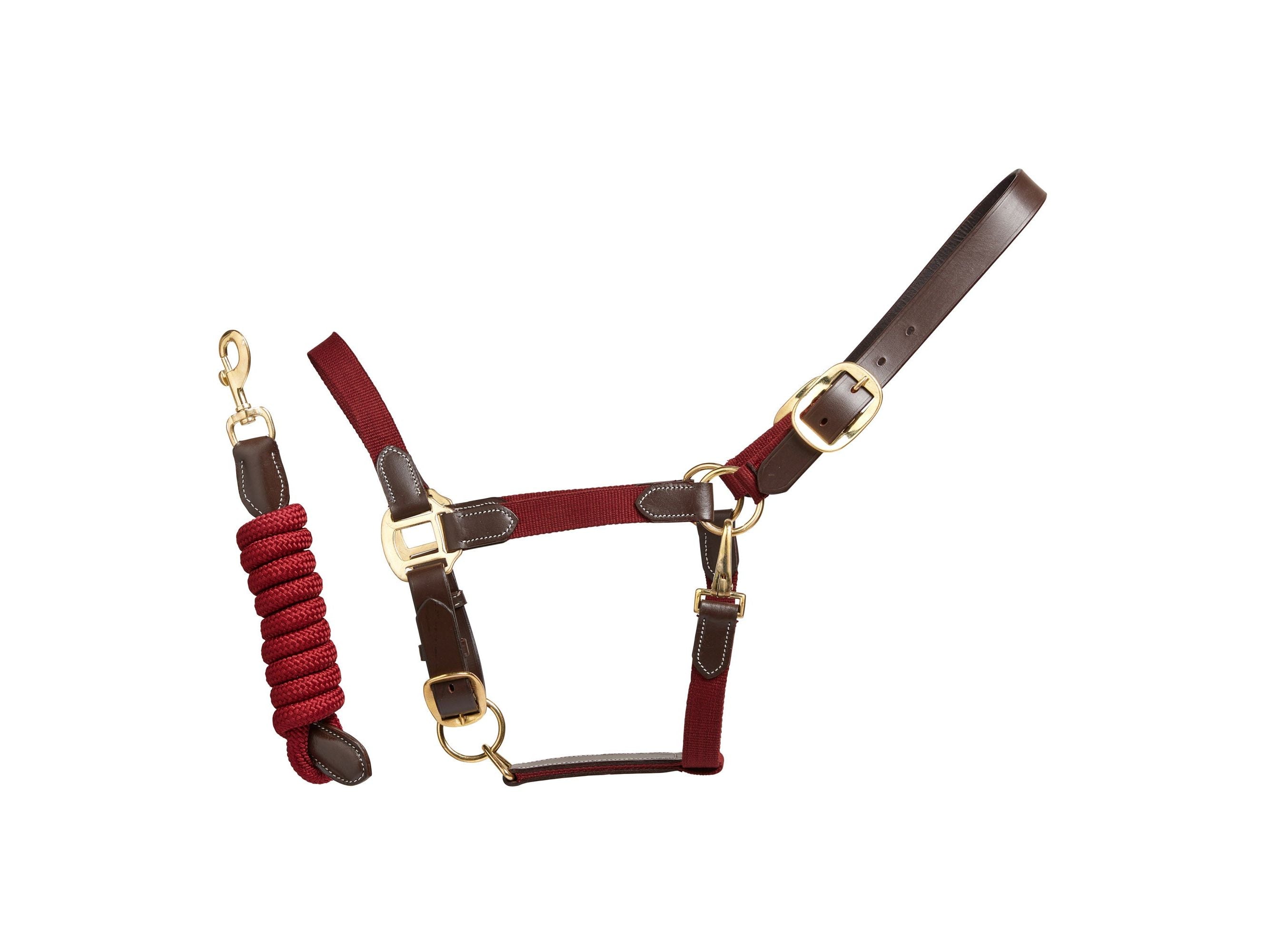 Performance Leather Headcollar & Lead detail view