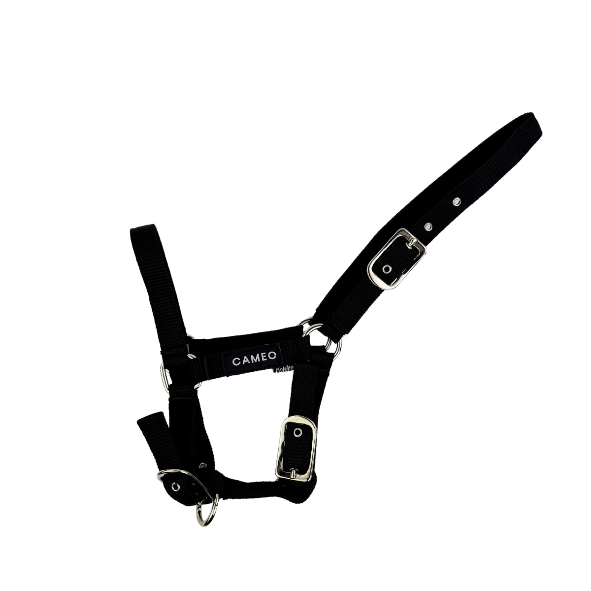 Foal Headcollar