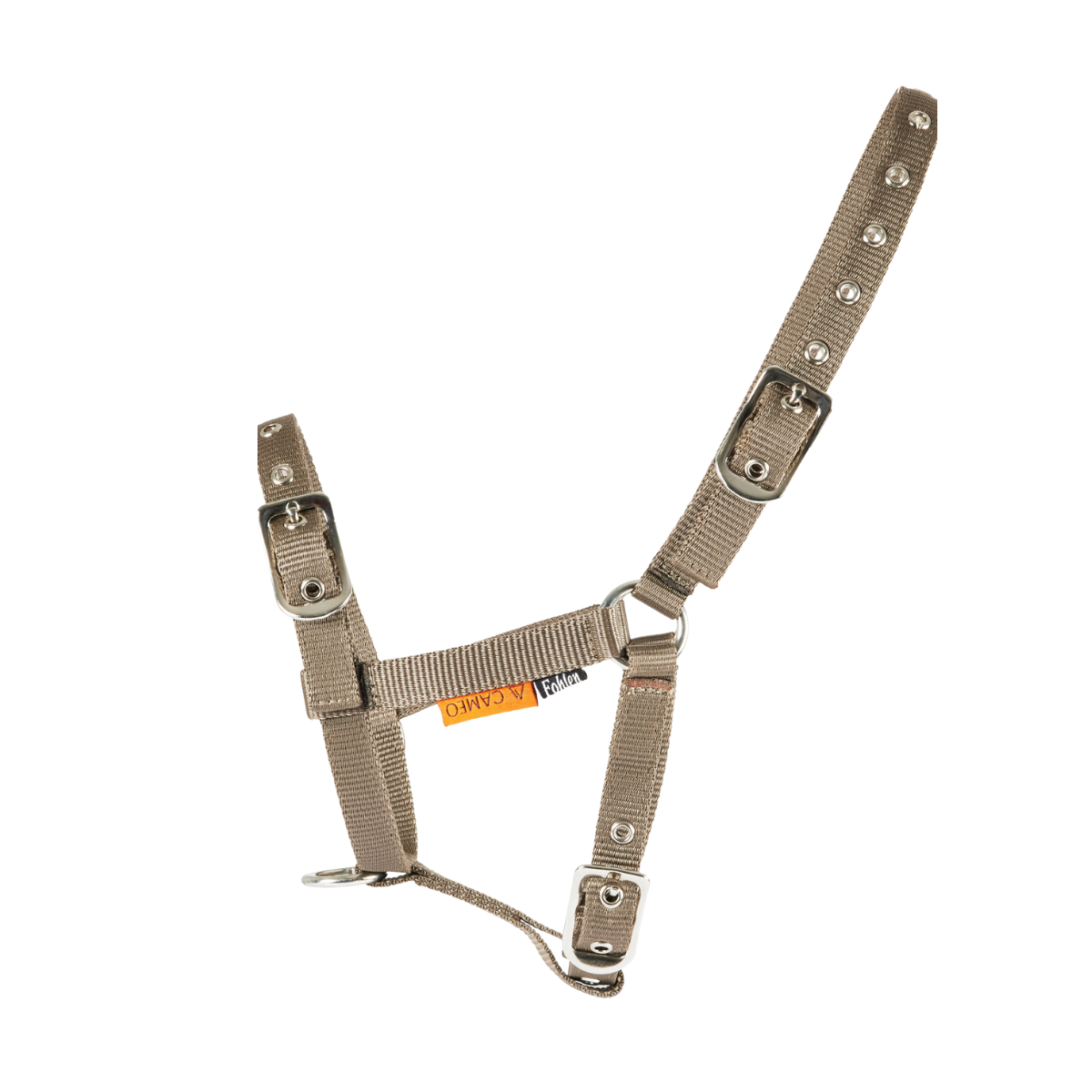 Foal Headcollar