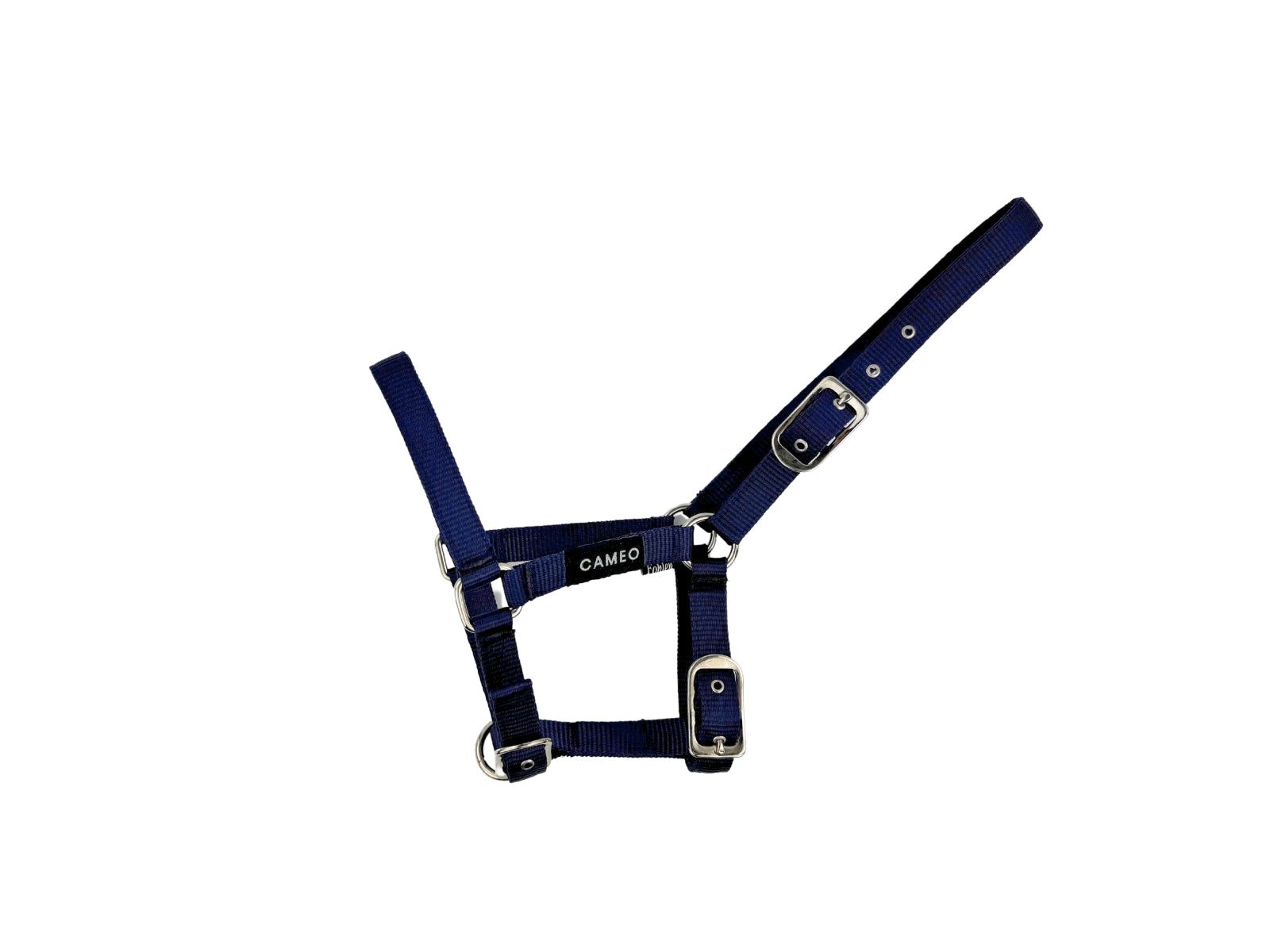 Foal Headcollar view