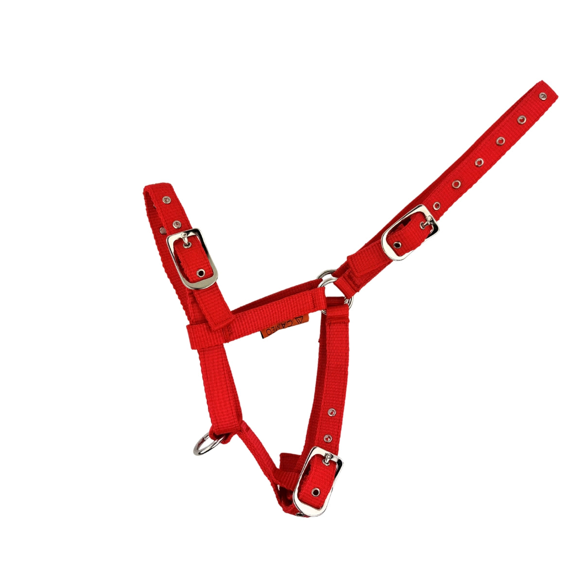 Foal Headcollar