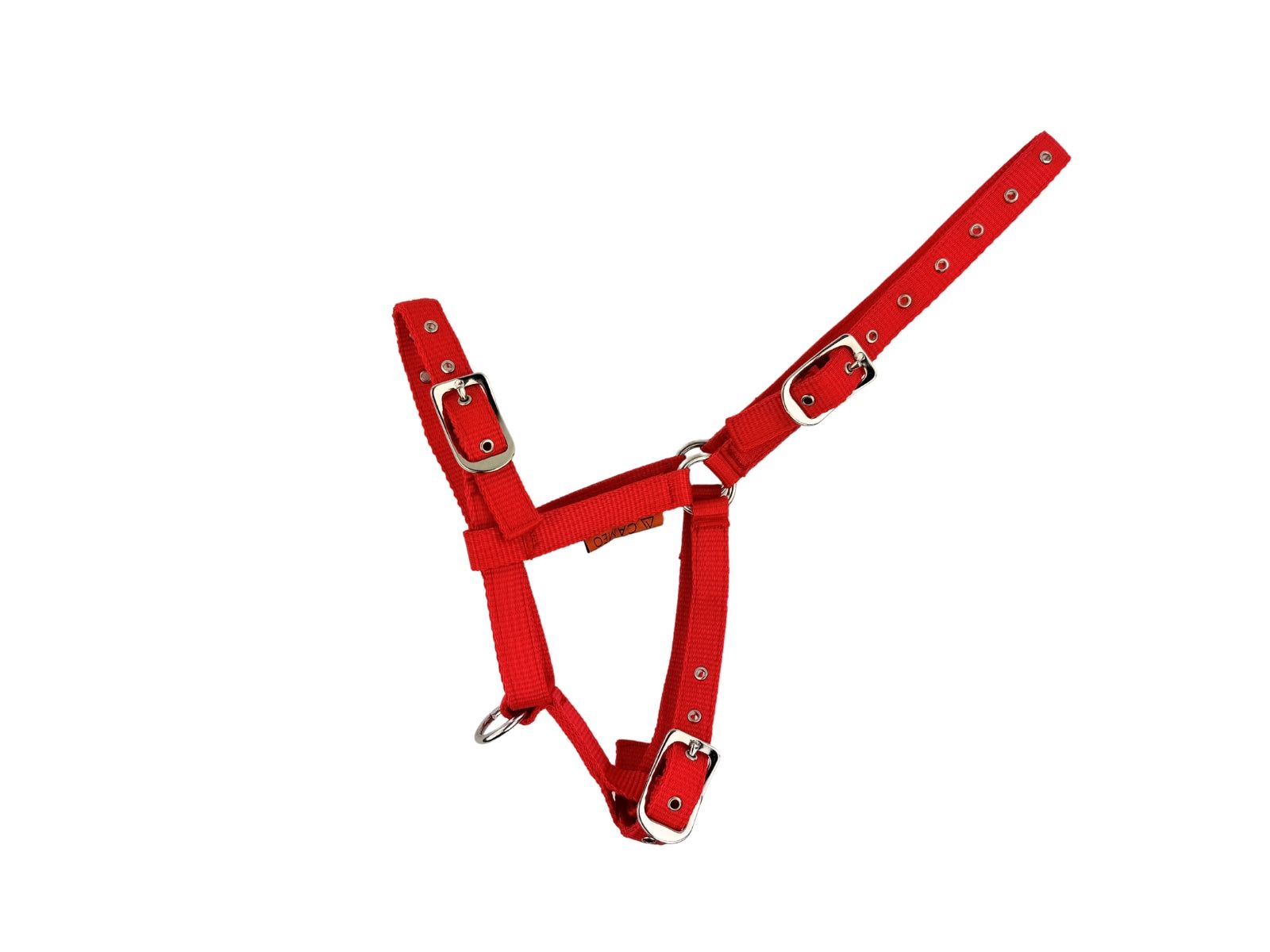 Foal Headcollar angled view