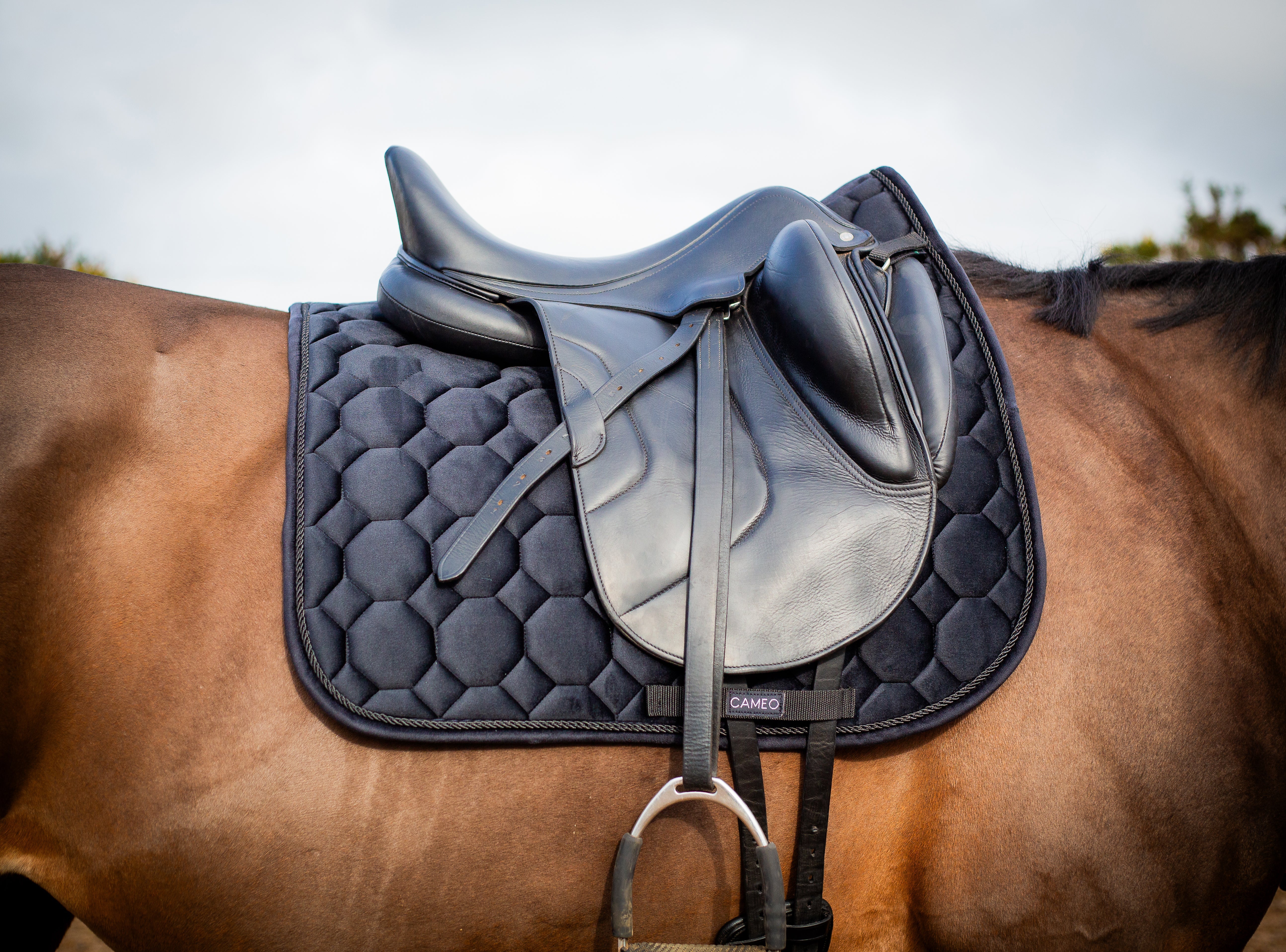 Dressage Saddlecloth